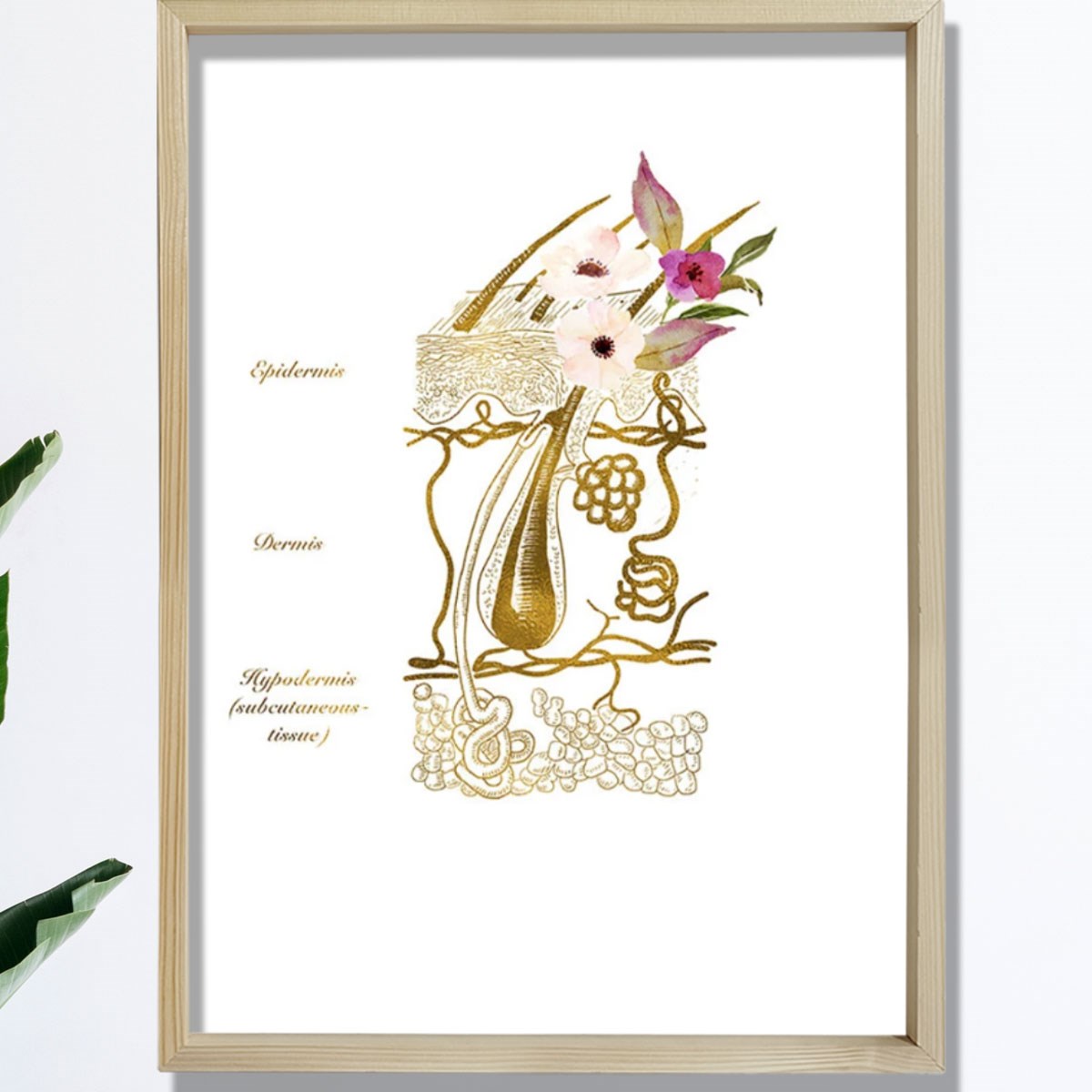 Cilt Sistemi Baskısı, Dermatoloji Sanatı, Dermatolog Ofis Dekoru