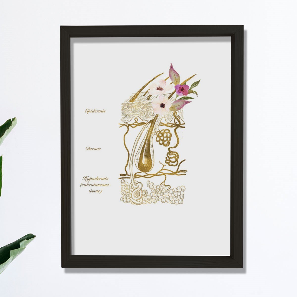 Cilt Sistemi Baskısı, Dermatoloji Sanatı, Dermatolog Ofis Dekoru