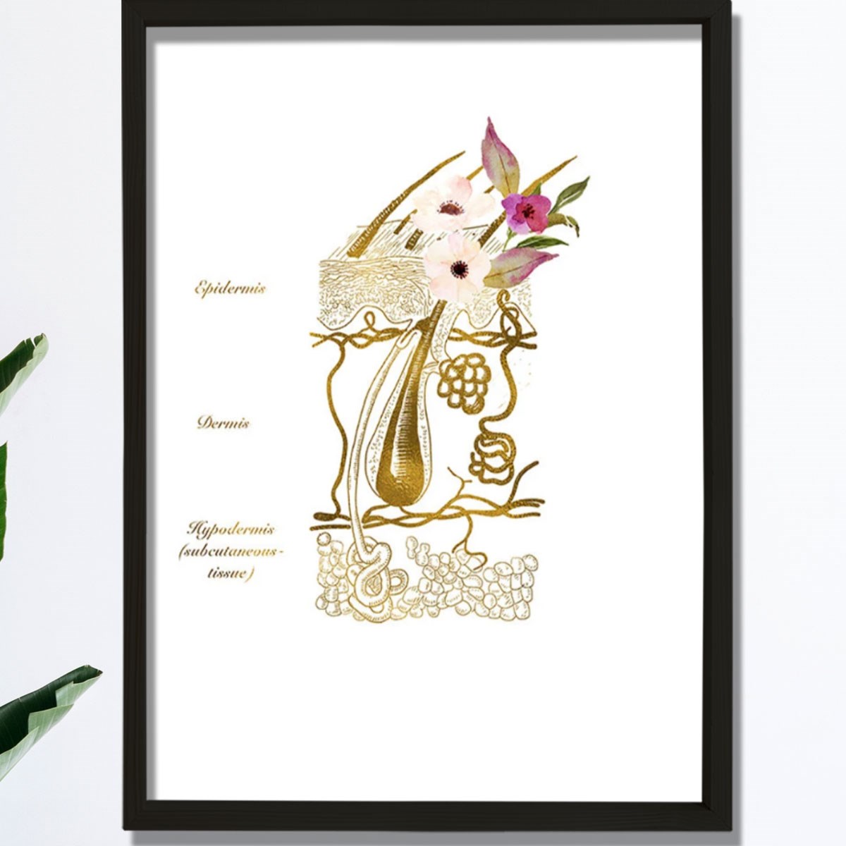 Cilt Sistemi Baskısı, Dermatoloji Sanatı, Dermatolog Ofis Dekoru