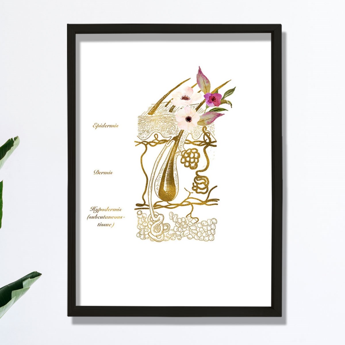 Cilt Sistemi Baskısı, Dermatoloji Sanatı, Dermatolog Ofis Dekoru