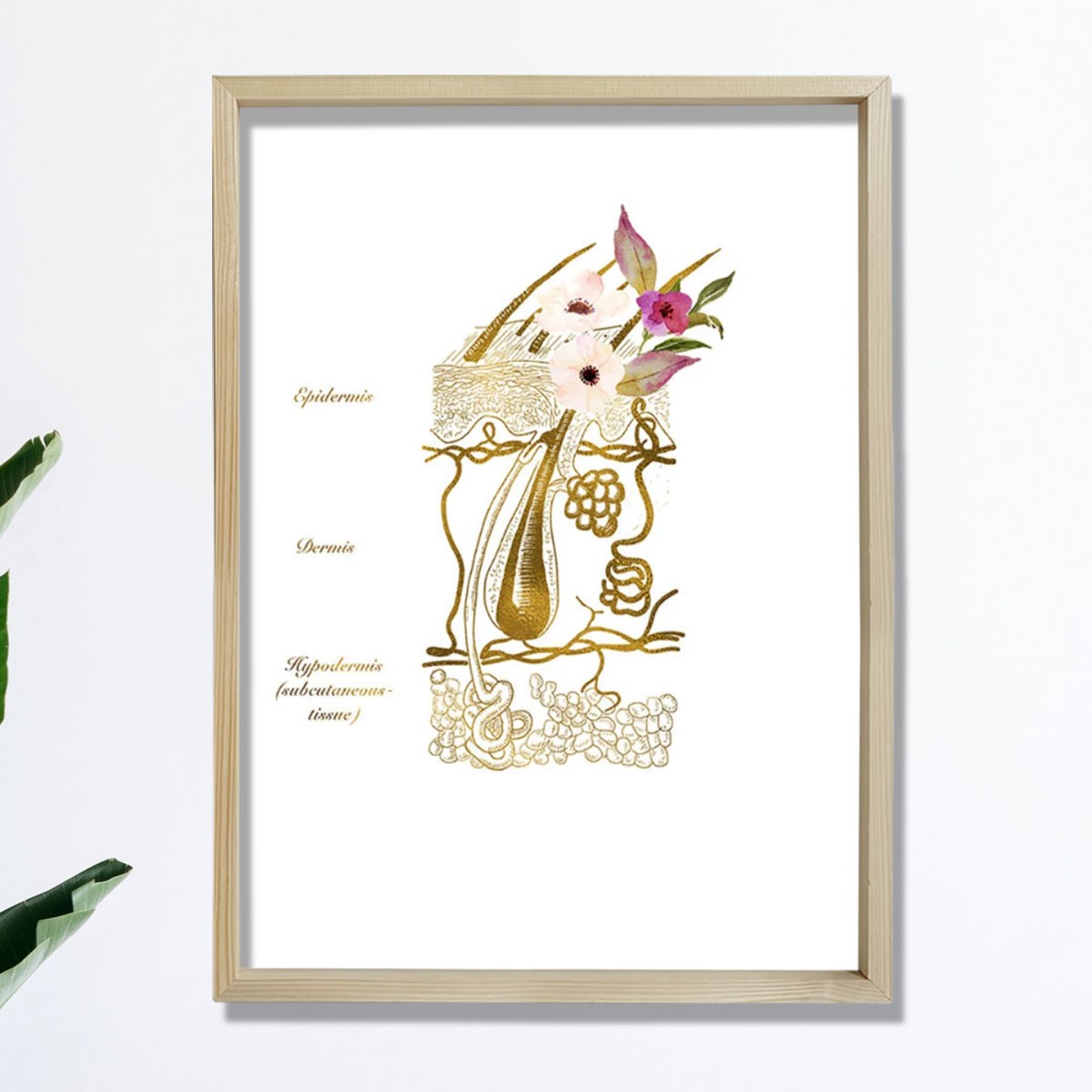 Cilt Sistemi Baskısı, Dermatoloji Sanatı, Dermatolog Ofis Dekoru