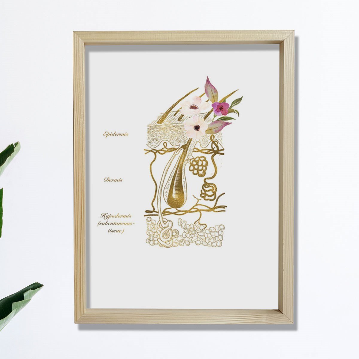 Cilt Sistemi Baskısı, Dermatoloji Sanatı, Dermatolog Ofis Dekoru