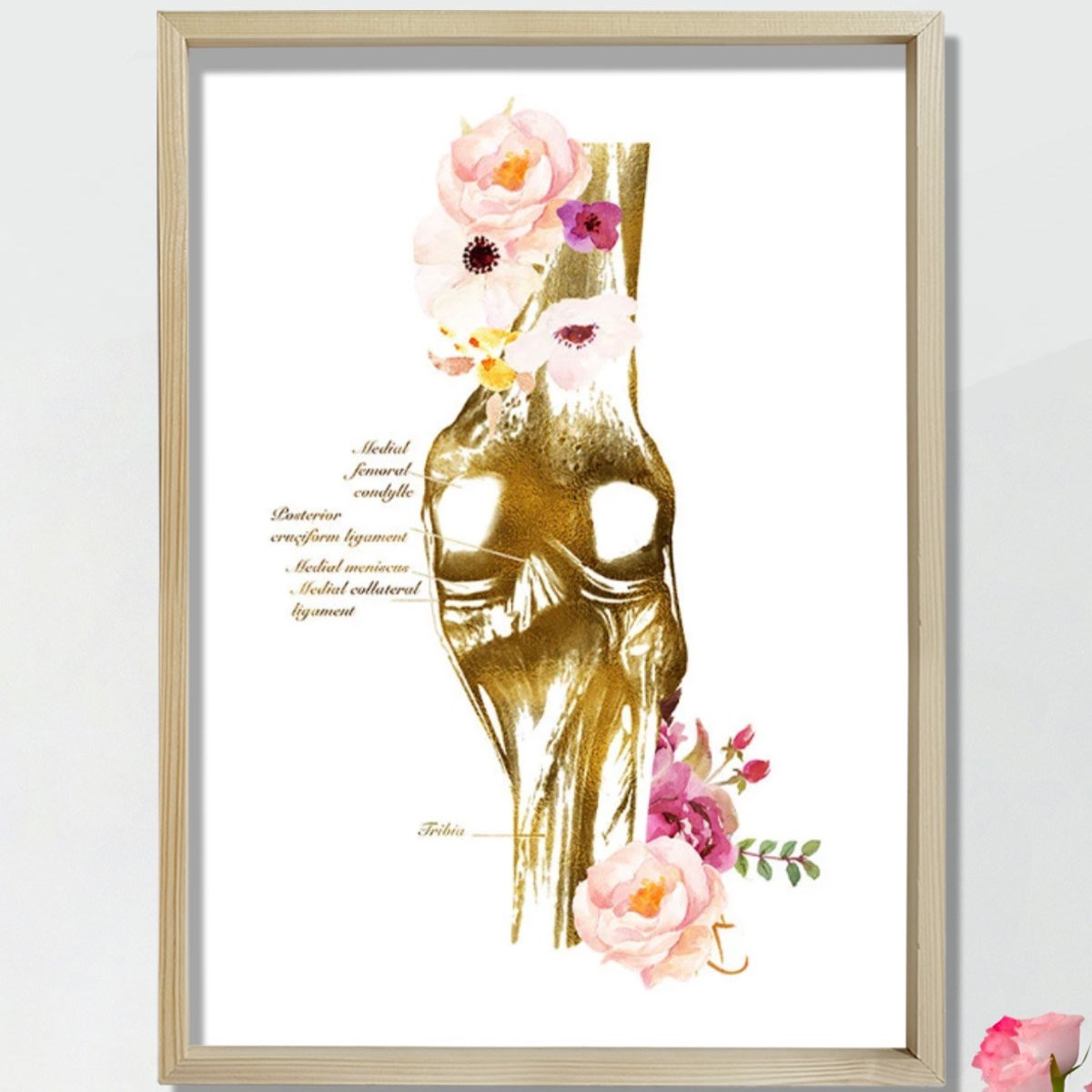 Diz Anatomisi Sanatı, Ortopedi Cerrahı, Fiziksel Terapist Hediyesi