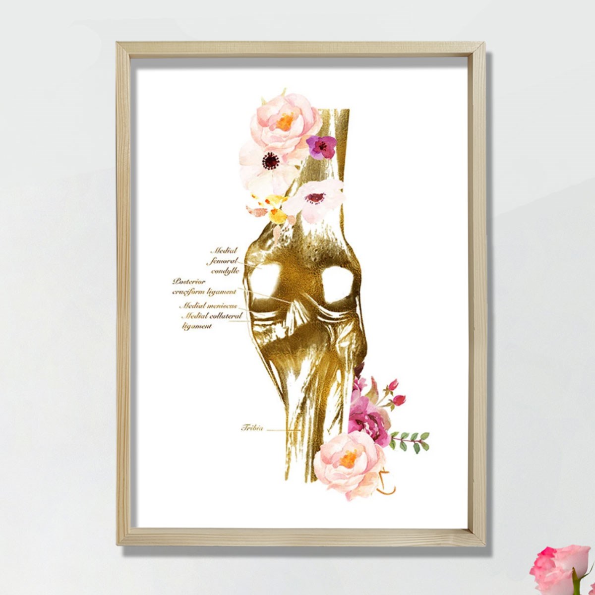 Diz Anatomisi Sanatı, Ortopedi Cerrahı, Fiziksel Terapist Hediyesi