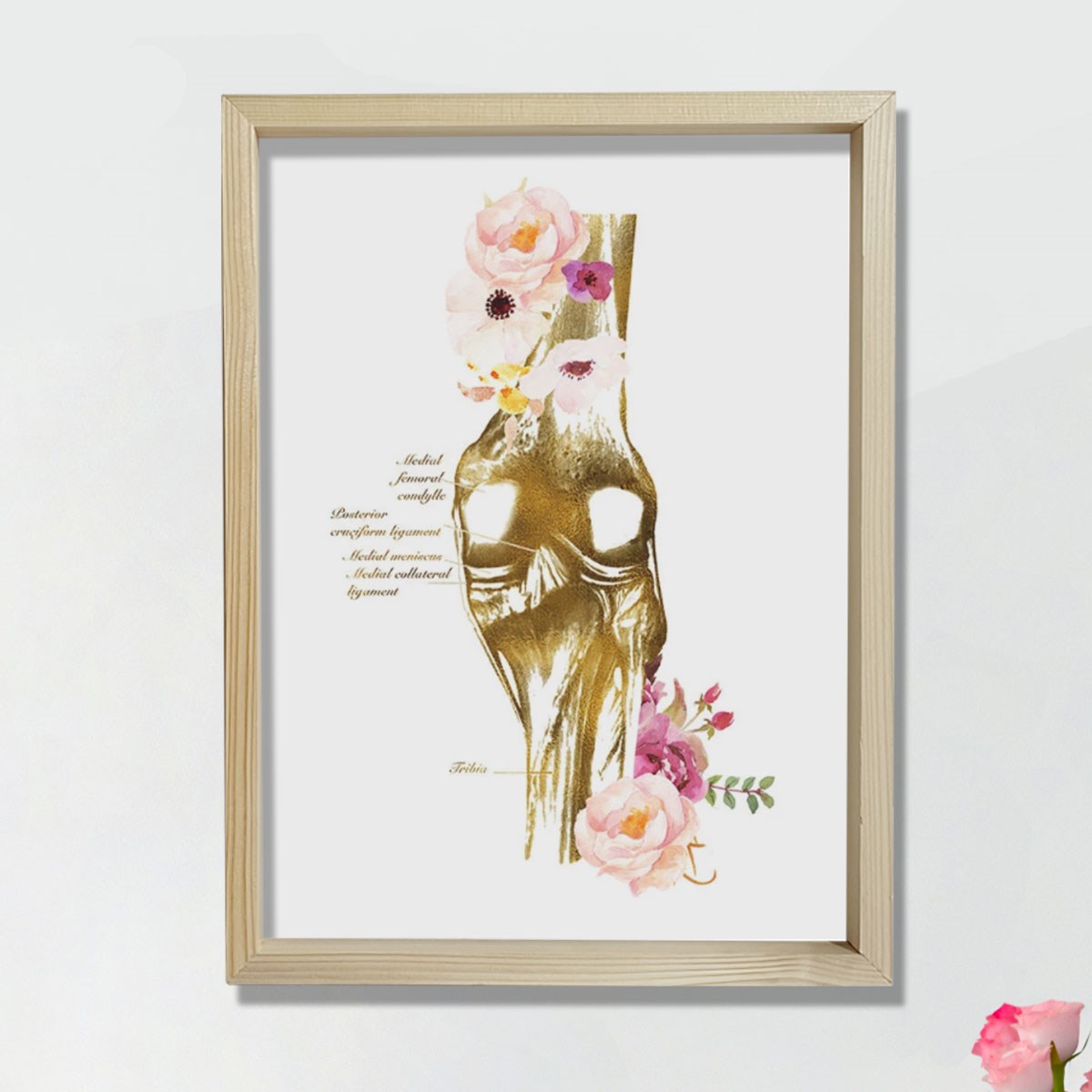 Diz Anatomisi Sanatı, Ortopedi Cerrahı, Fiziksel Terapist Hediyesi