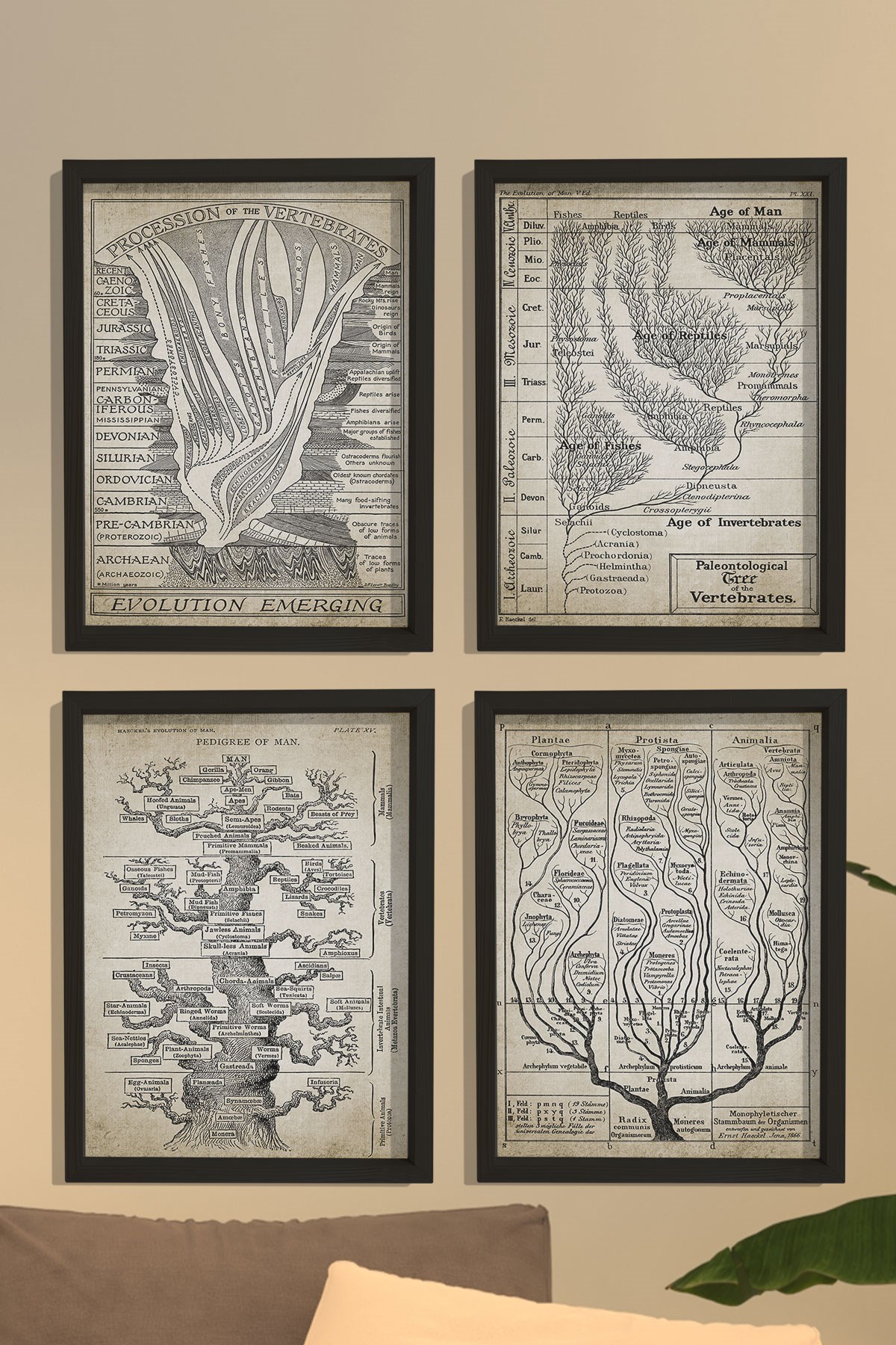 Doğal Ahşap Hayat Ağacı, Jeoloji, Evrim, Paleontoloji, Jeolojik Zaman Çizelgesi, Fosil Kaydı 4 lü Tablo