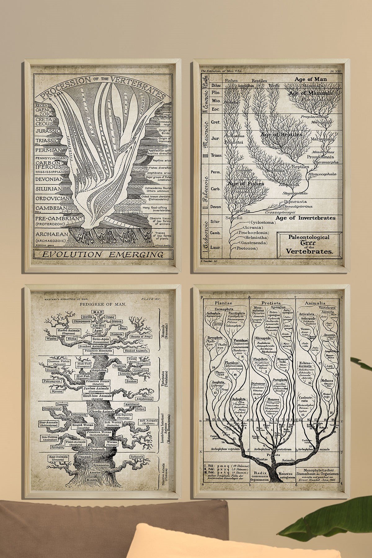 Doğal Ahşap Hayat Ağacı, Jeoloji, Evrim, Paleontoloji, Jeolojik Zaman Çizelgesi, Fosil Kaydı 4 lü Tablo