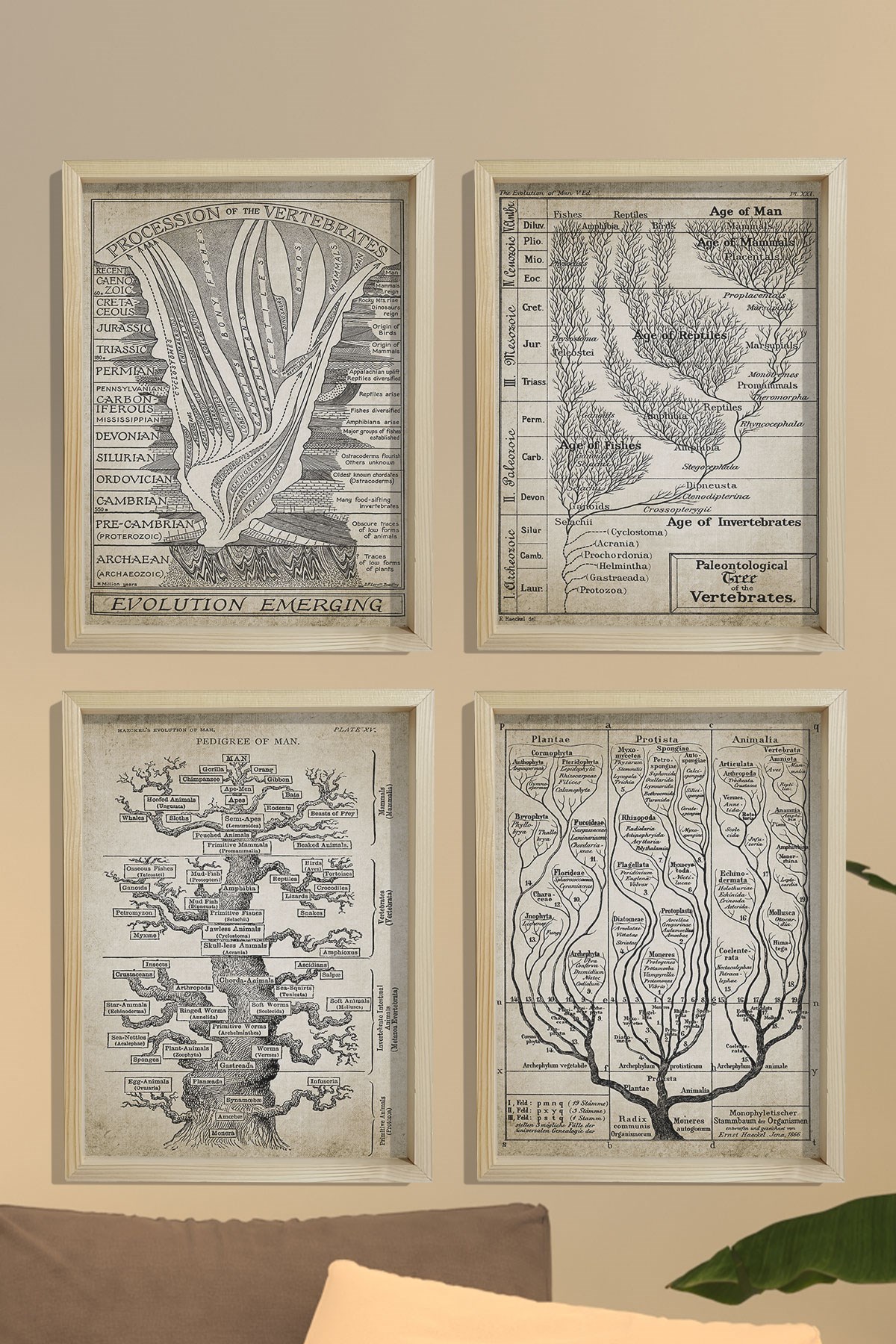 Doğal Ahşap Hayat Ağacı, Jeoloji, Evrim, Paleontoloji, Jeolojik Zaman Çizelgesi, Fosil Kaydı 4 lü Tablo