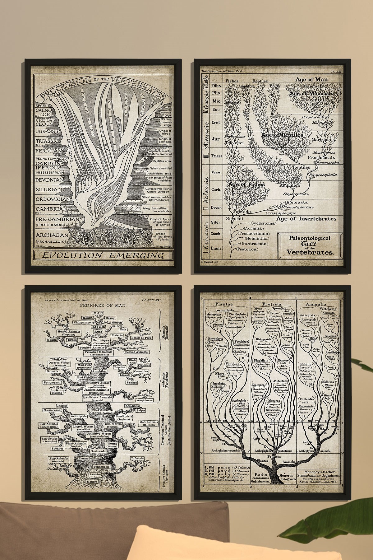 Doğal Ahşap Hayat Ağacı, Jeoloji, Evrim, Paleontoloji, Jeolojik Zaman Çizelgesi, Fosil Kaydı 4 lü Tablo
