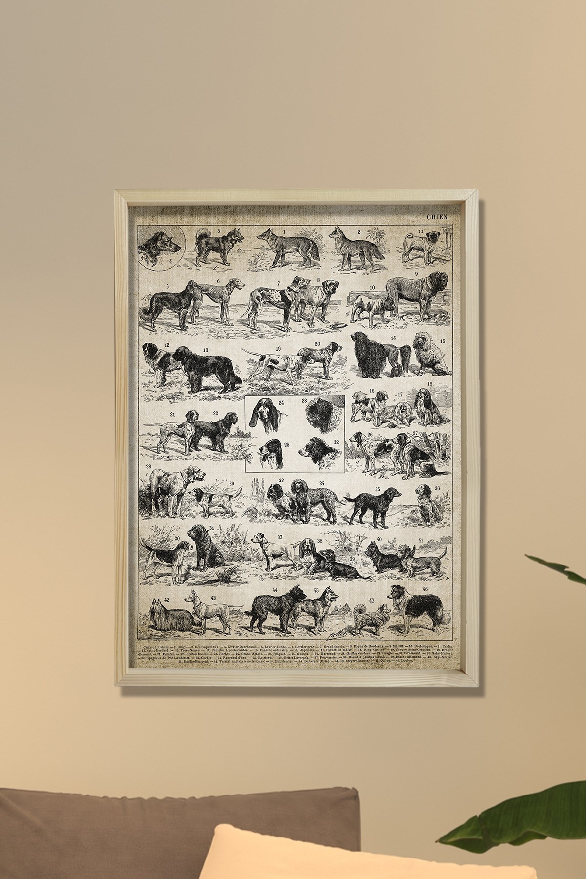 Doğal Çam Çerçeveli Duvar Tablosu Antik Köpek Irkları