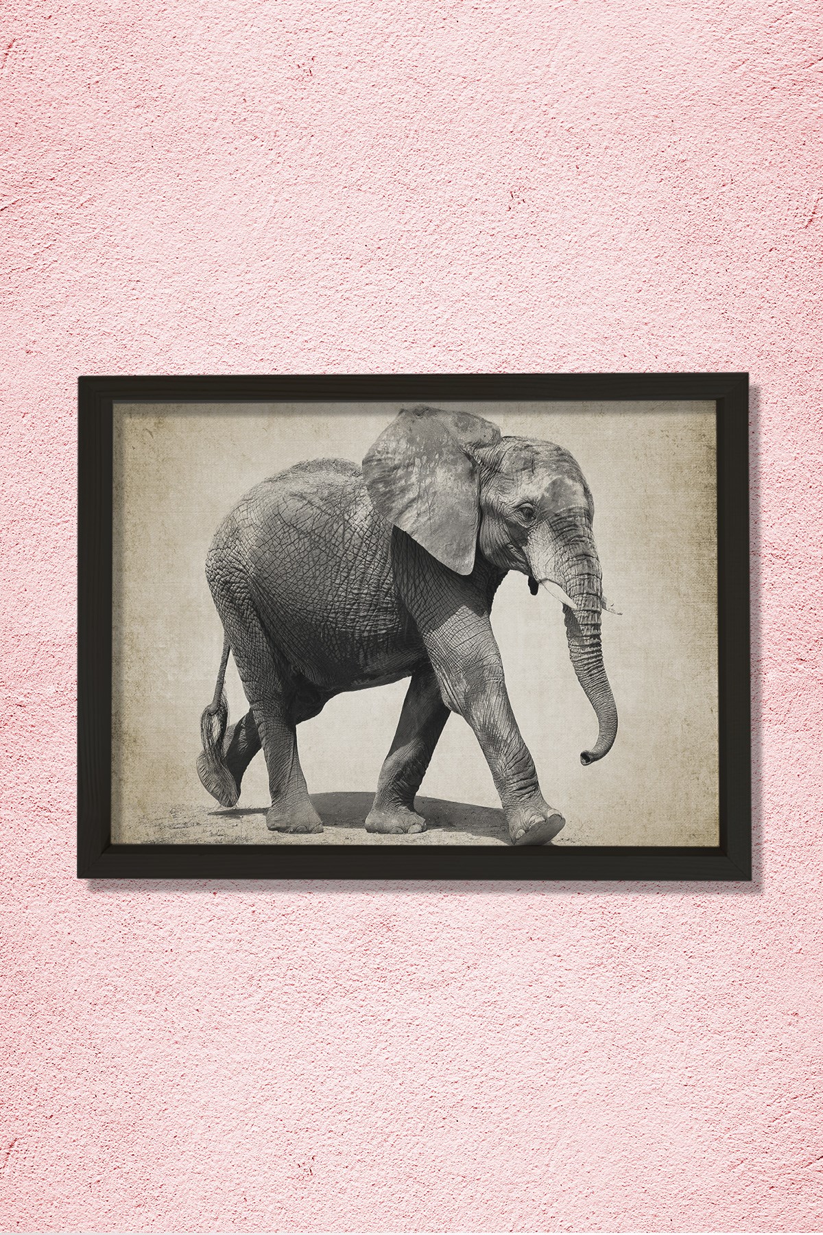 Doğal Çam Çerçeveli Duvar Tablosu Antik Fil