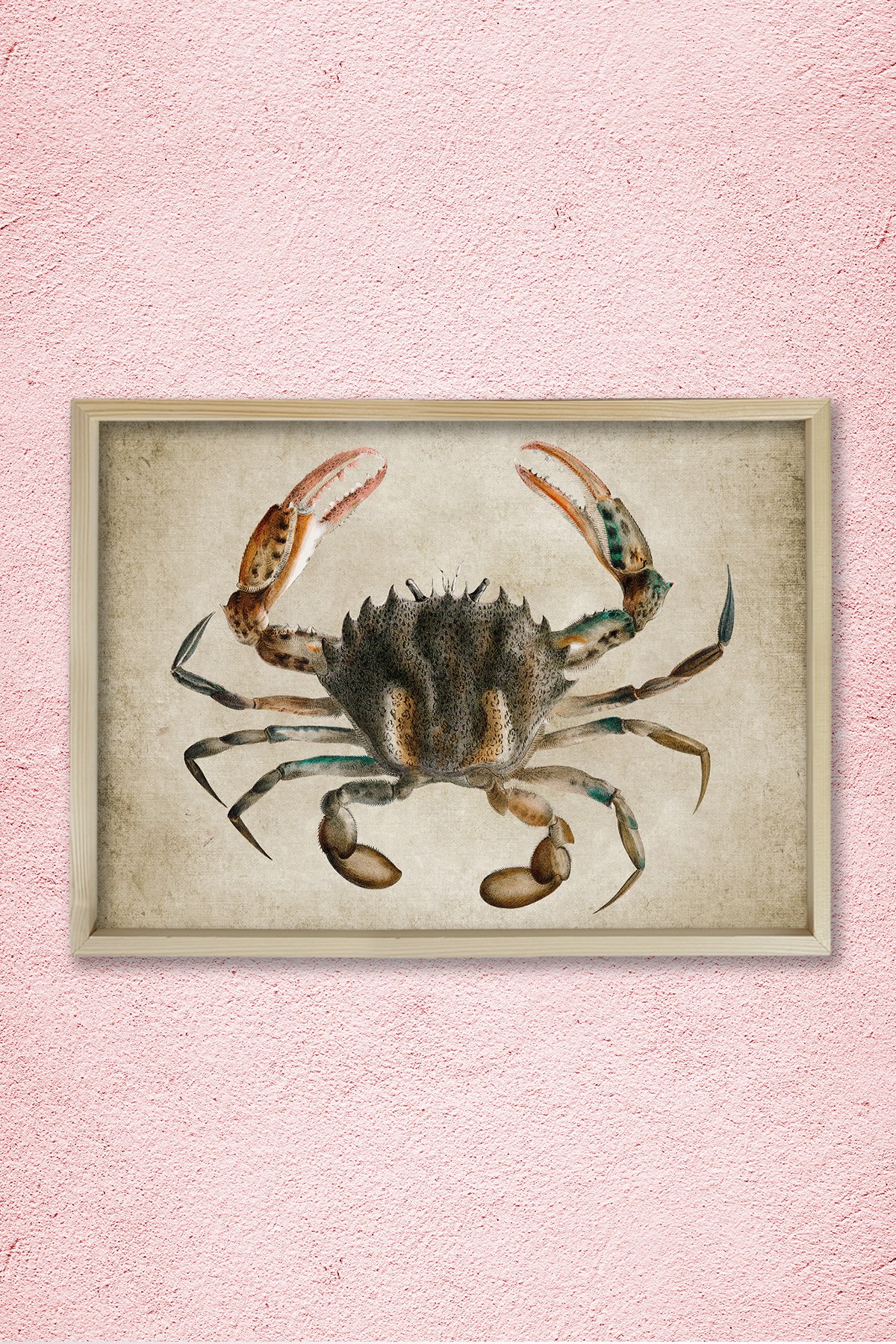 Doğal Çam Çerçeveli Duvar Tablosu Antik Yengeç