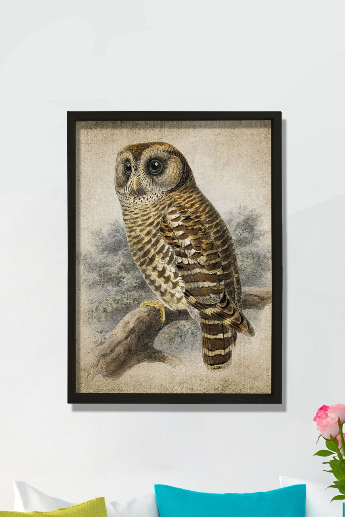 Doğal Çam Çerçeveli Duvar Tablosu Antik Baykuş