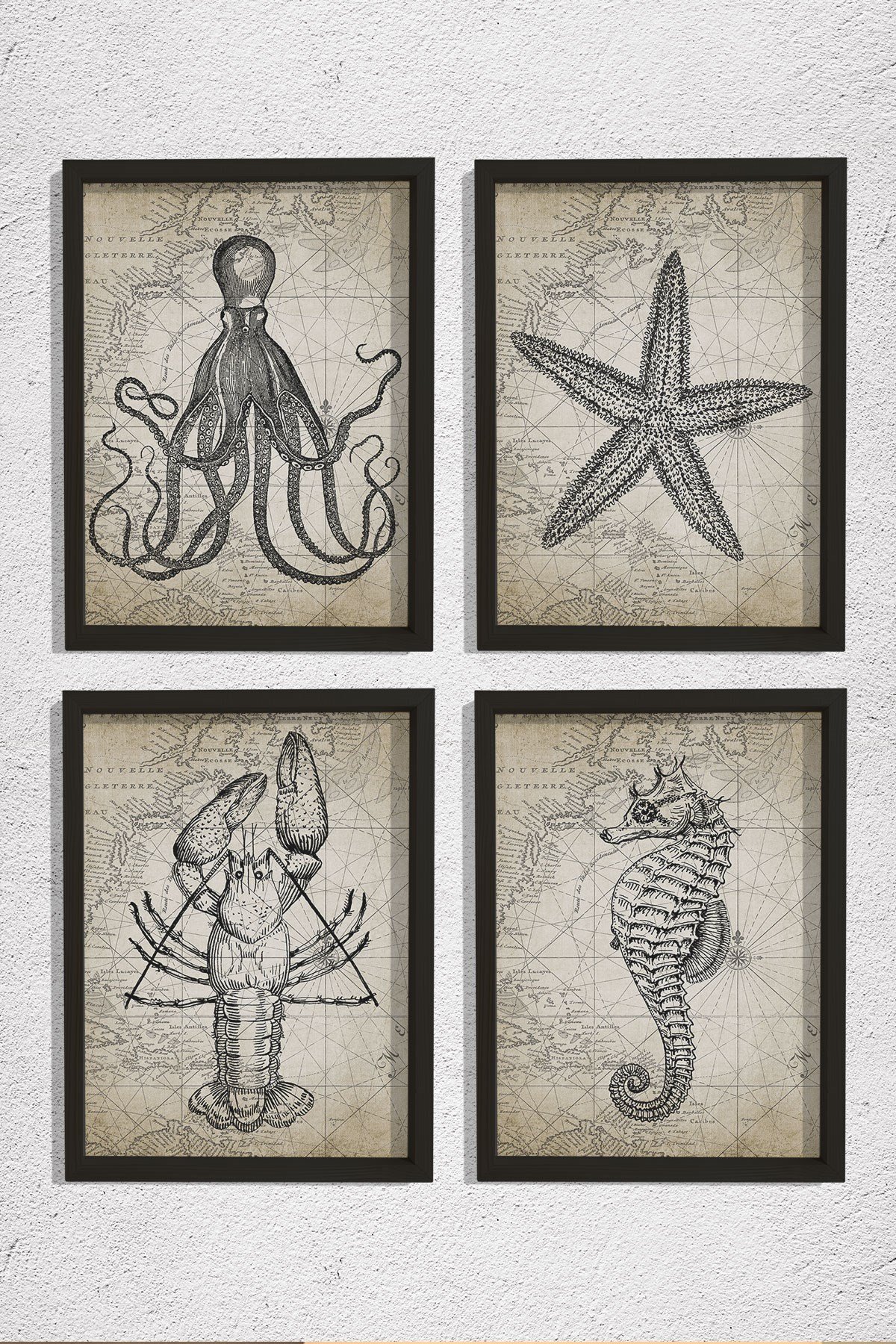 Doğal Çam Çerçeveli Duvar Tablosu Antik Deniz Canlıları Karakalem 4 lü Set