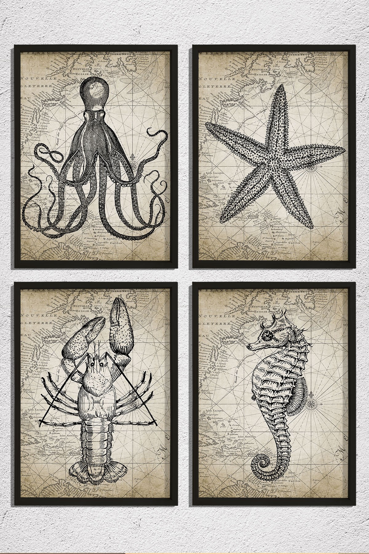 Doğal Çam Çerçeveli Duvar Tablosu Antik Deniz Canlıları Karakalem 4 lü Set