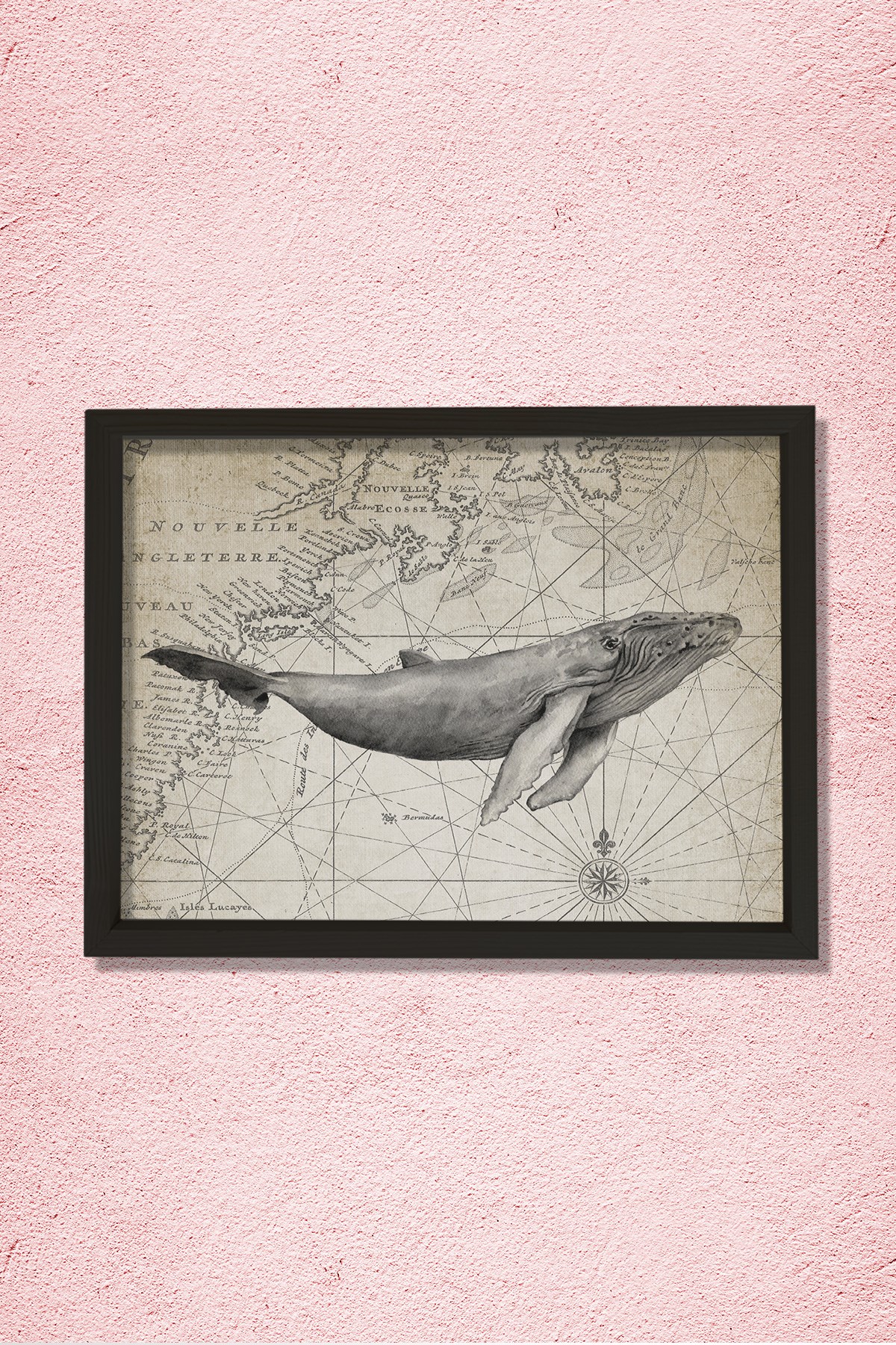 Doğal Çam Çerçeveli Duvar Tablosu Antik Balina ve Harita