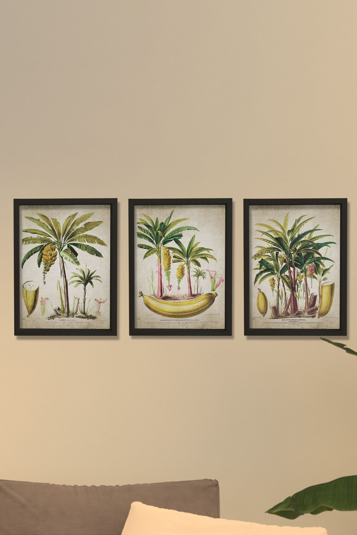 Doğal Çam Çerçeveli Duvar Tablosu Antik Muz ve Palmiye Ağacı