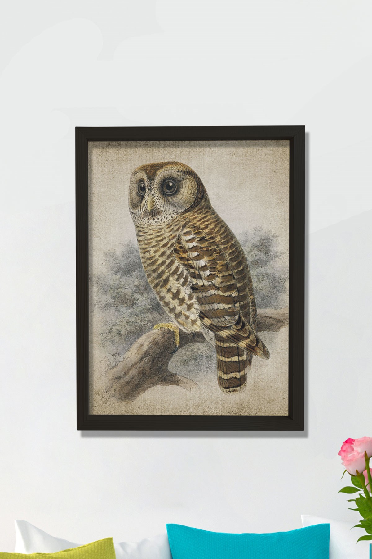 Doğal Çam Çerçeveli Duvar Tablosu Antik Baykuş