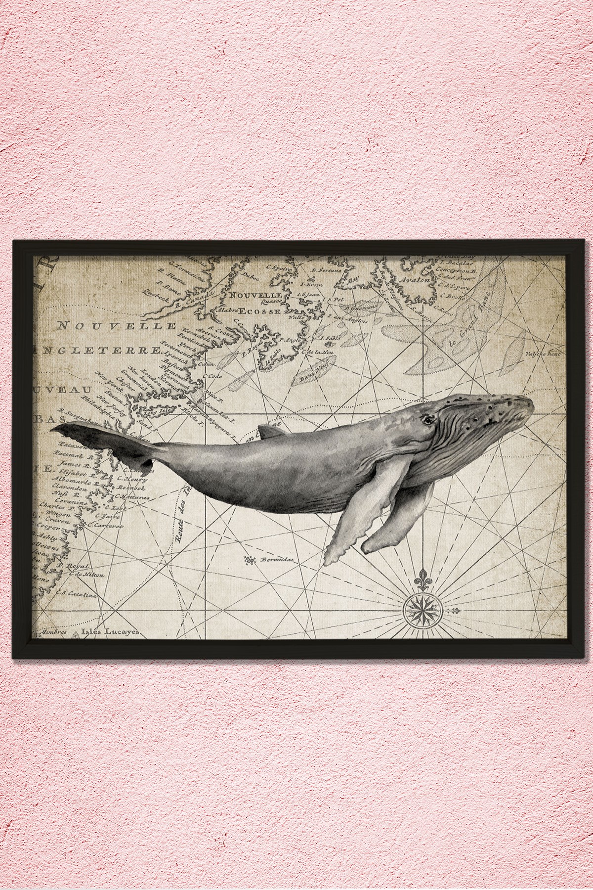 Doğal Çam Çerçeveli Duvar Tablosu Antik Balina ve Harita