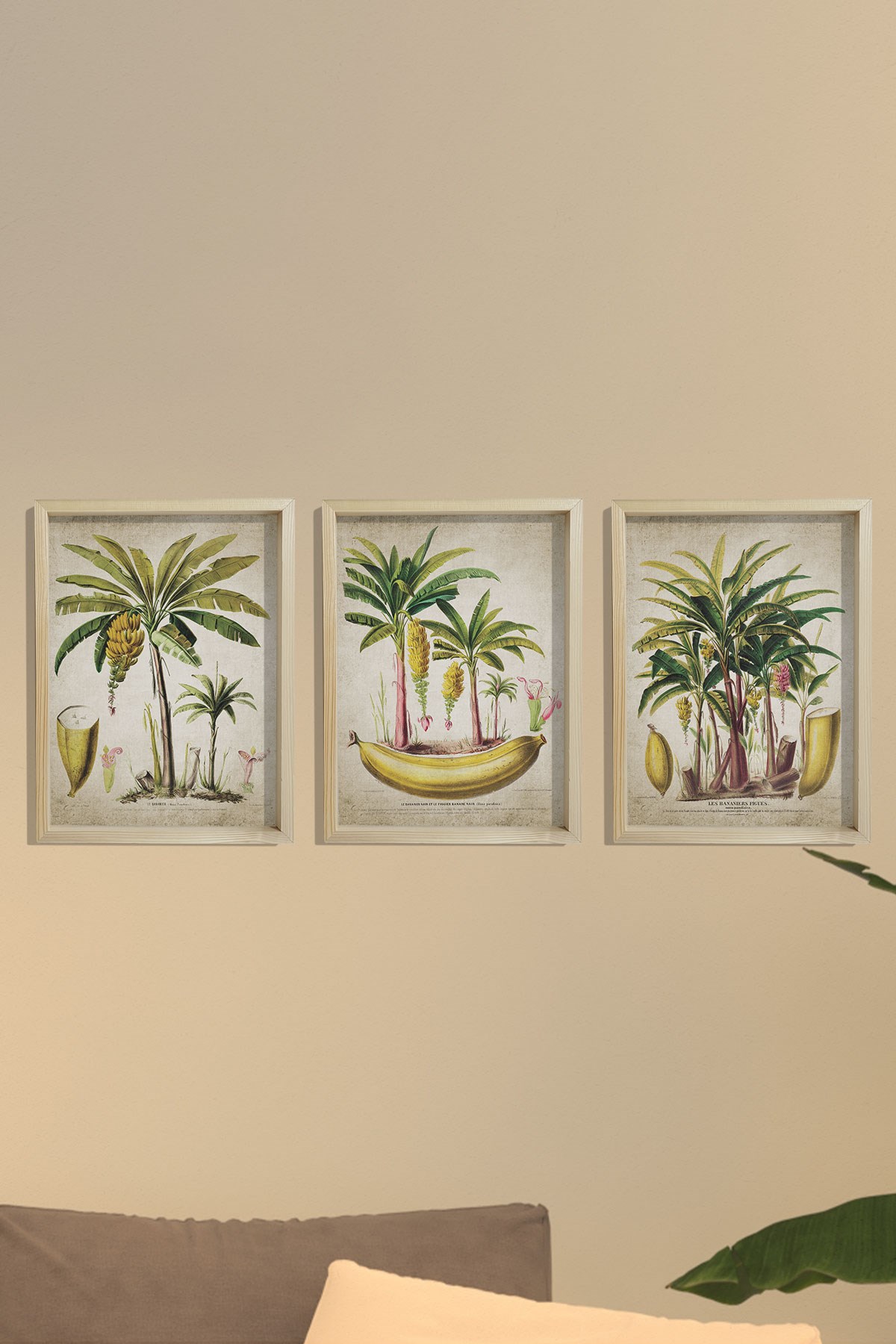 Doğal Çam Çerçeveli Duvar Tablosu Antik Muz ve Palmiye Ağacı