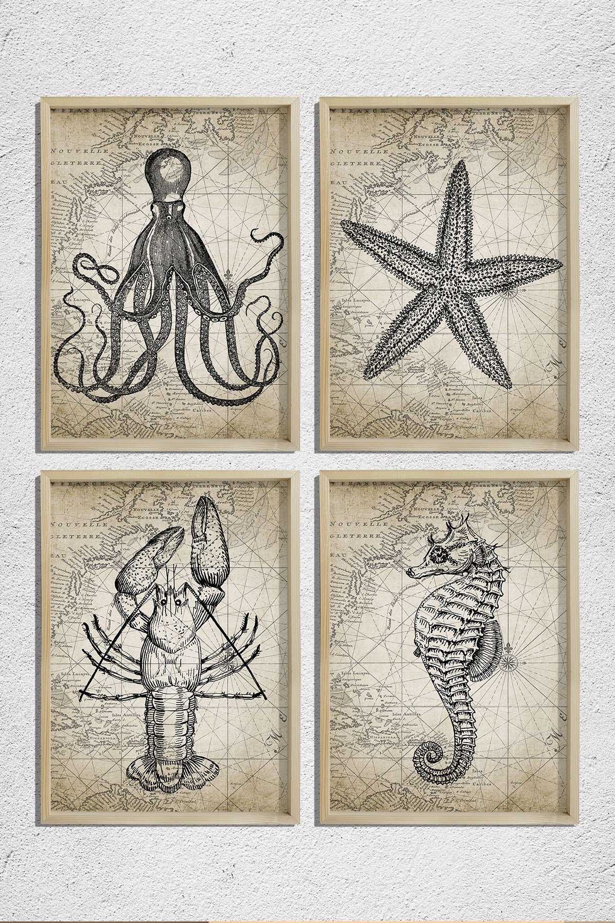 Doğal Çam Çerçeveli Duvar Tablosu Antik Deniz Canlıları Karakalem 4 lü Set