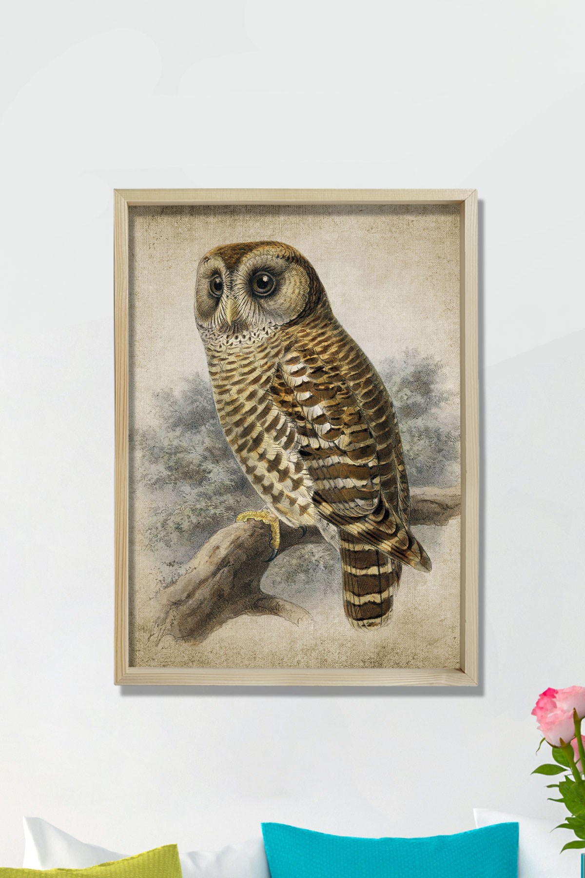 Doğal Çam Çerçeveli Duvar Tablosu Antik Baykuş