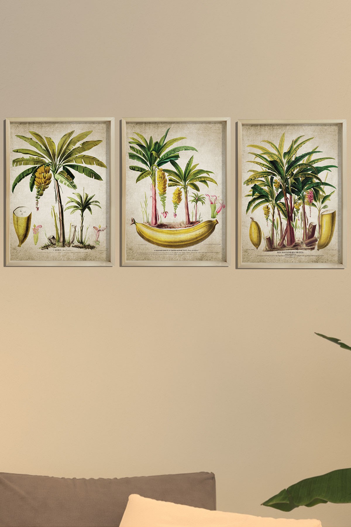 Doğal Çam Çerçeveli Duvar Tablosu Antik Muz ve Palmiye Ağacı