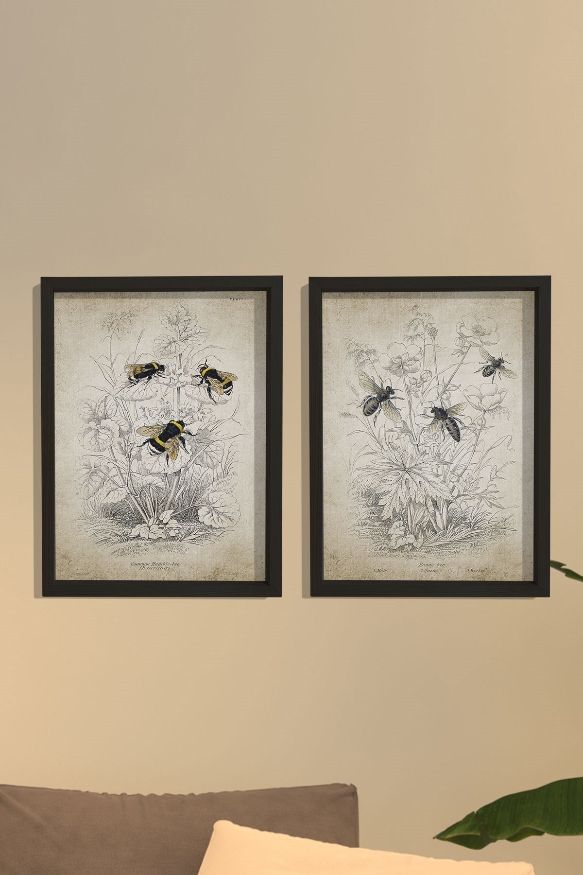 Doğal Çam Çerçeveli Duvar Tablosu Antik Bombus ve Bal Arısı