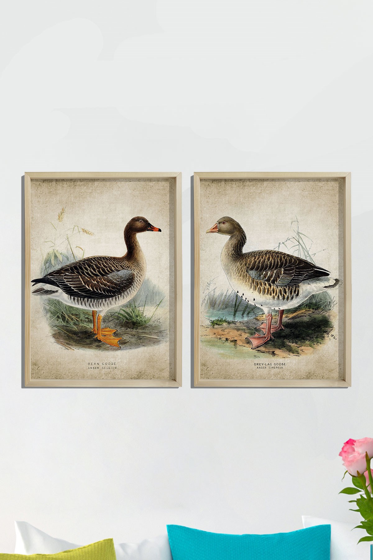 Doğal Çam Çerçeveli Duvar Tablosu Antik Kaz Baskısı