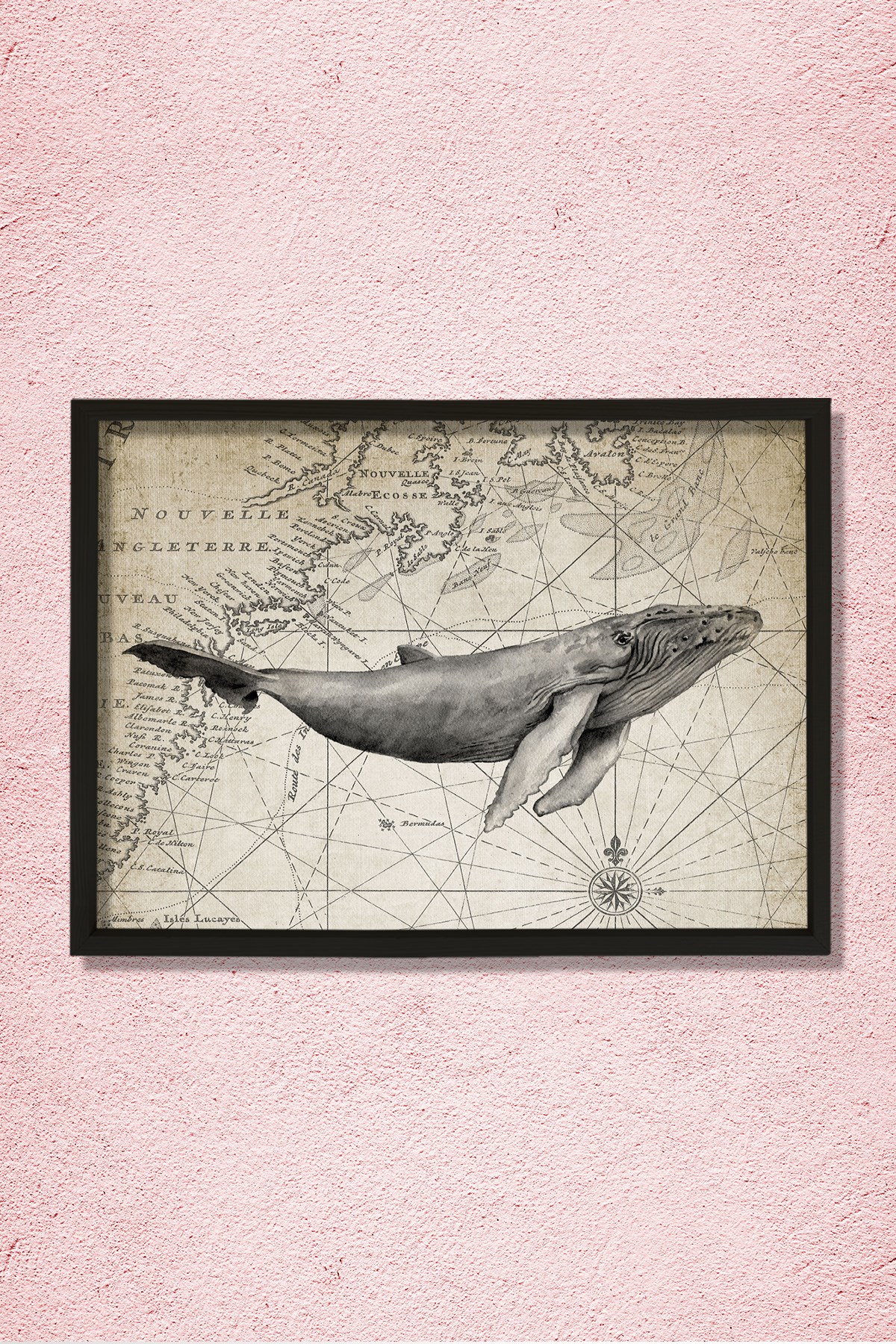 Doğal Çam Çerçeveli Duvar Tablosu Antik Balina ve Harita