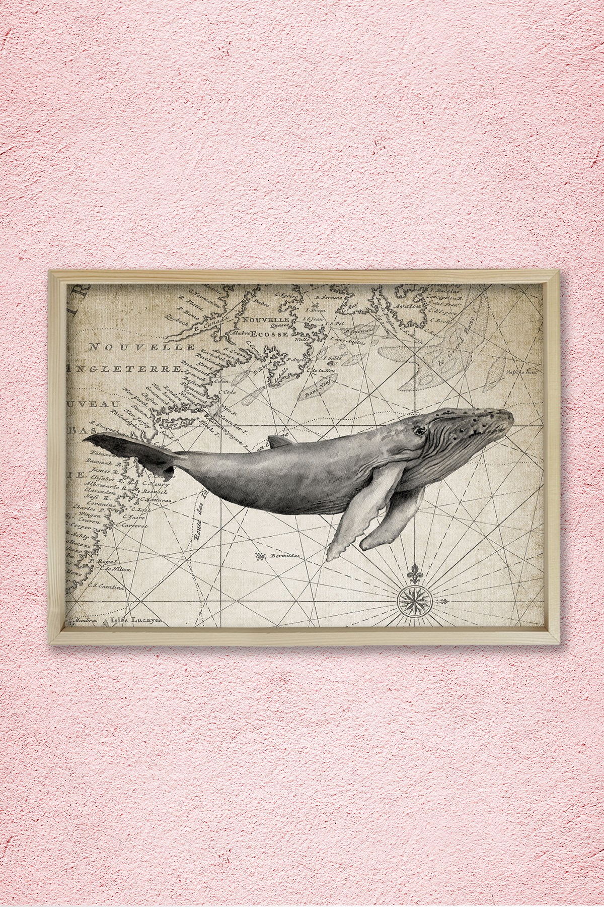 Doğal Çam Çerçeveli Duvar Tablosu Antik Balina ve Harita