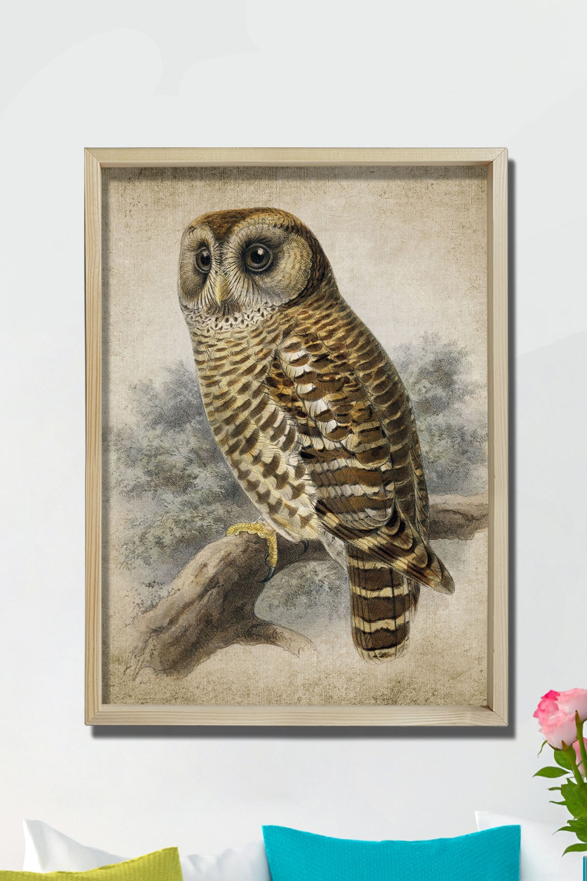 Doğal Çam Çerçeveli Duvar Tablosu Antik Baykuş