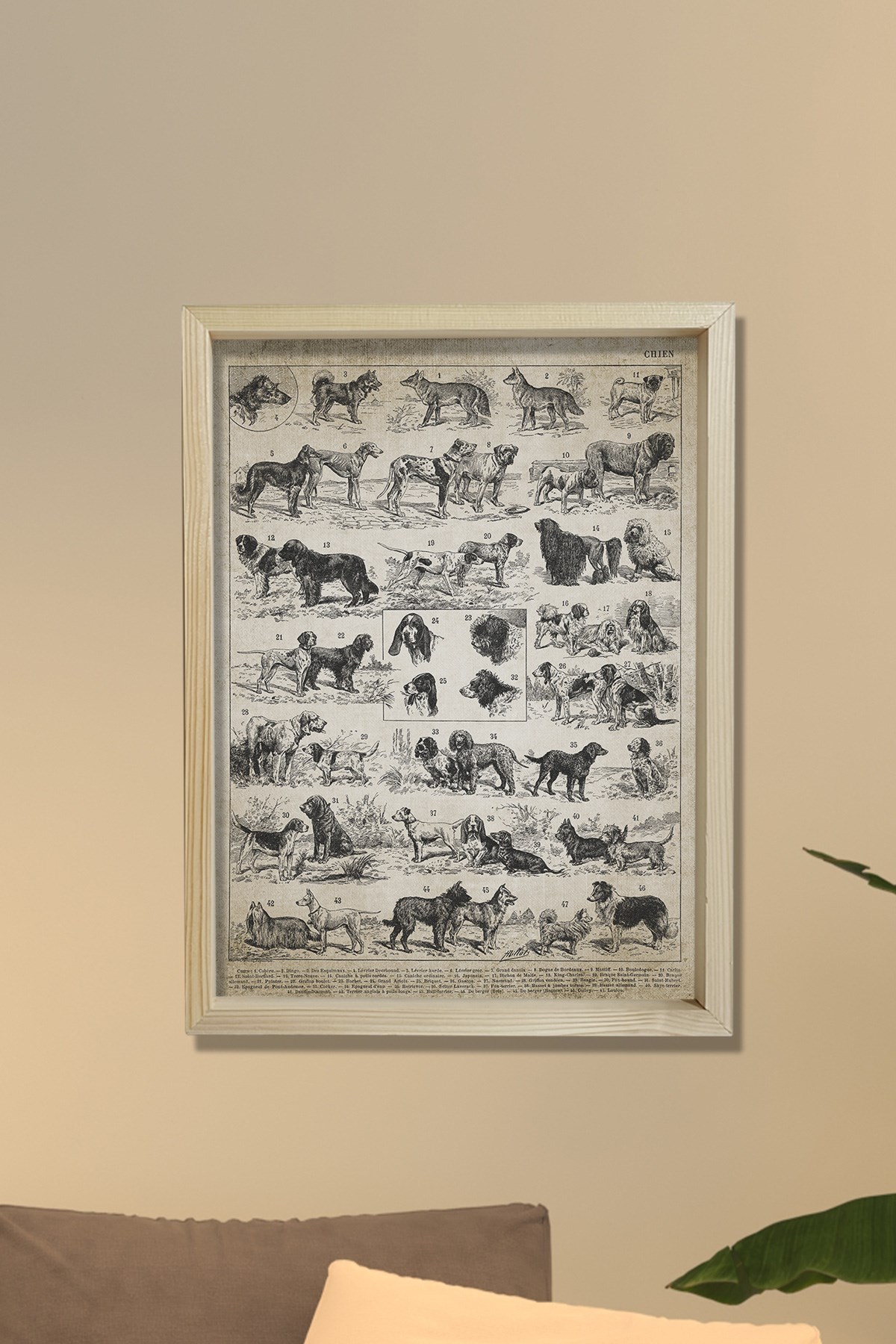 Doğal Çam Çerçeveli Duvar Tablosu Antik Köpek Irkları