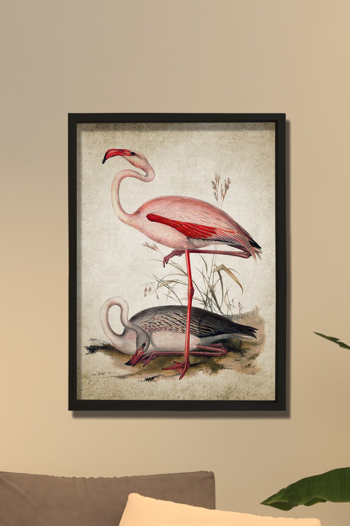 Doğal Çam Çerçeveli Duvar Tablosu Antik Flamingo