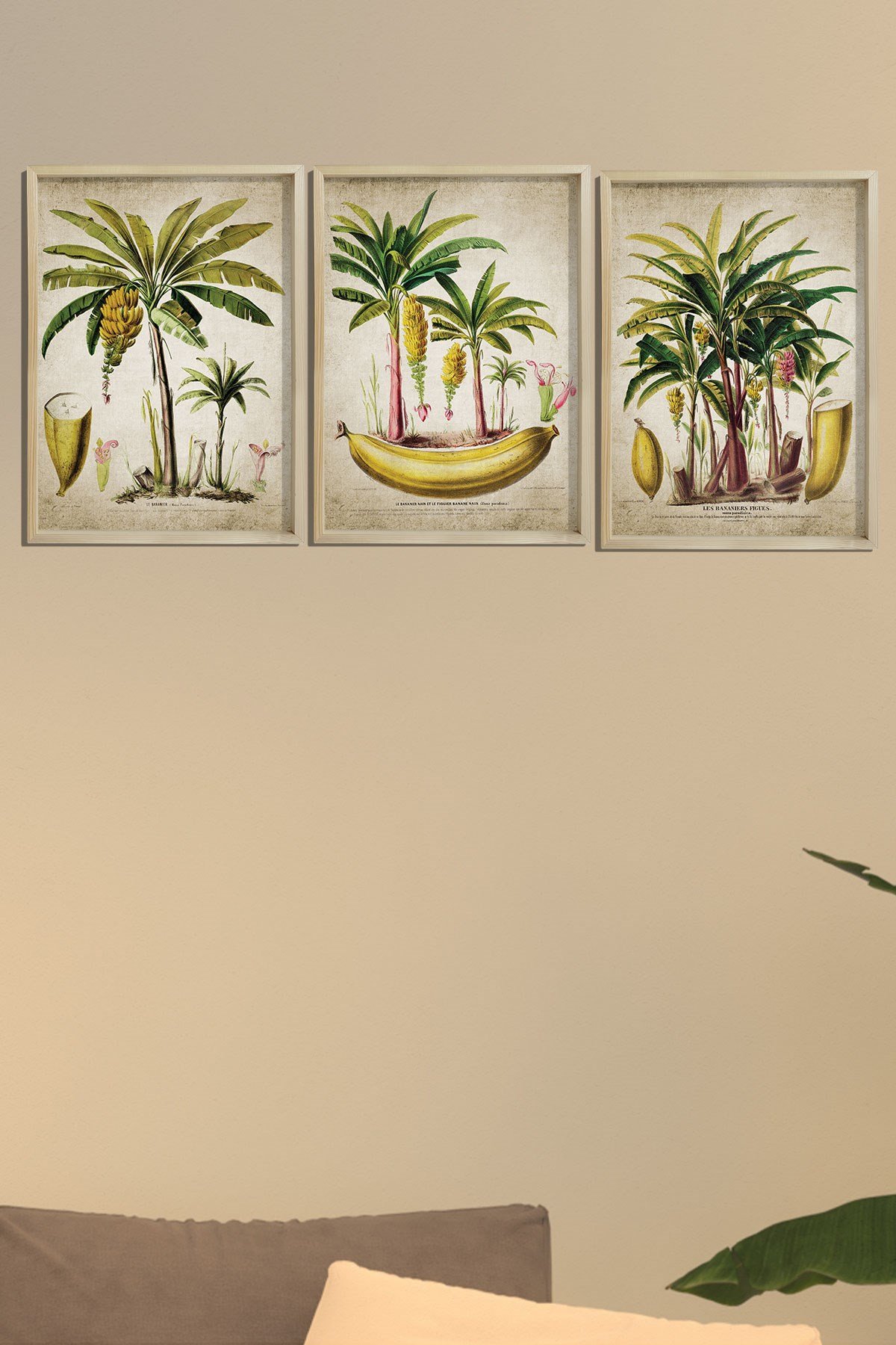 Doğal Çam Çerçeveli Duvar Tablosu Antik Muz ve Palmiye Ağacı