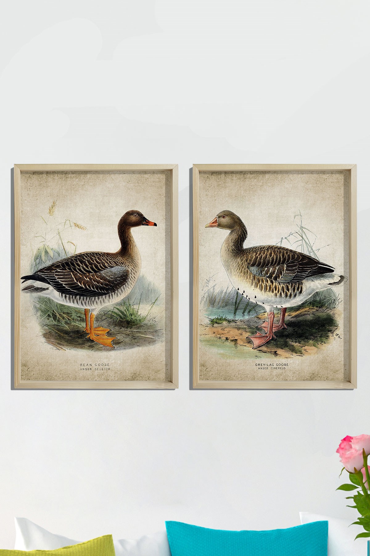 Doğal Çam Çerçeveli Duvar Tablosu Antik Kaz Baskısı