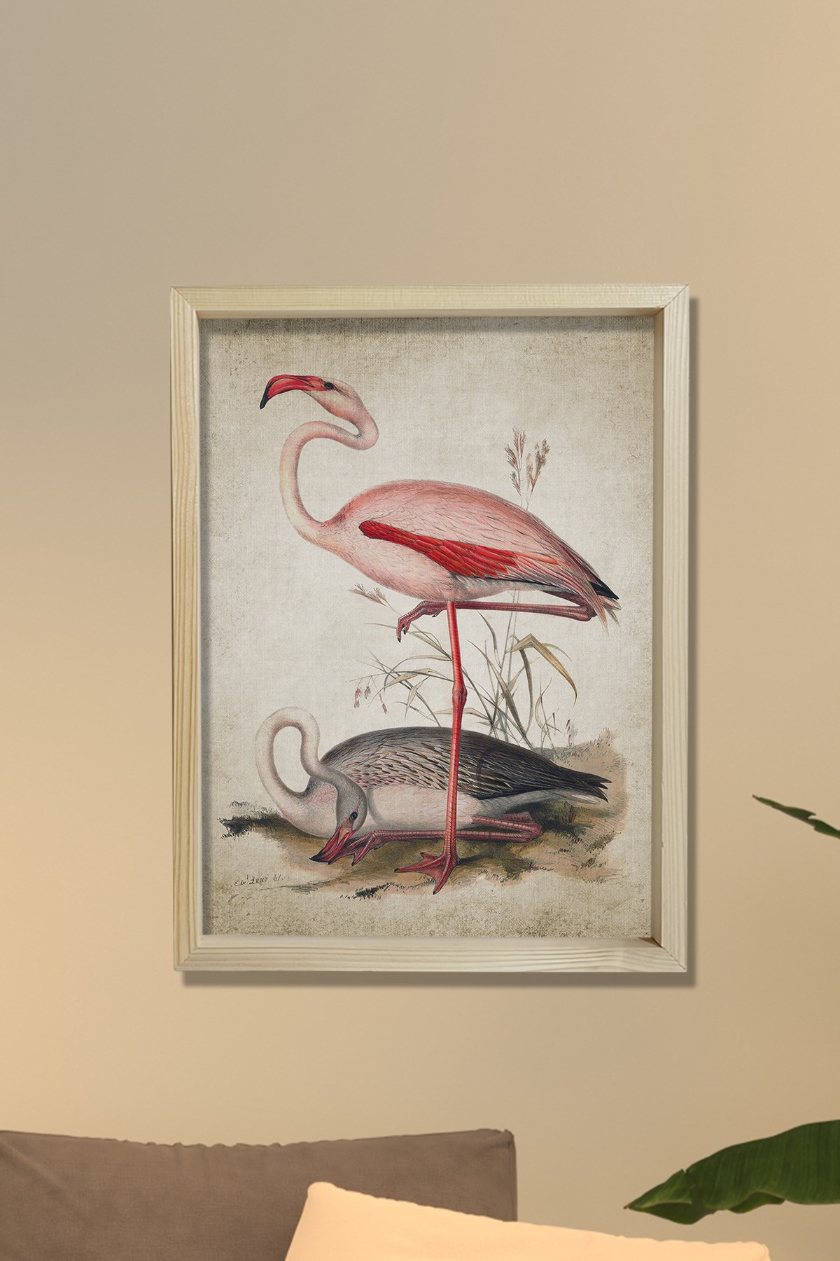 Doğal Çam Çerçeveli Duvar Tablosu Antik Flamingo