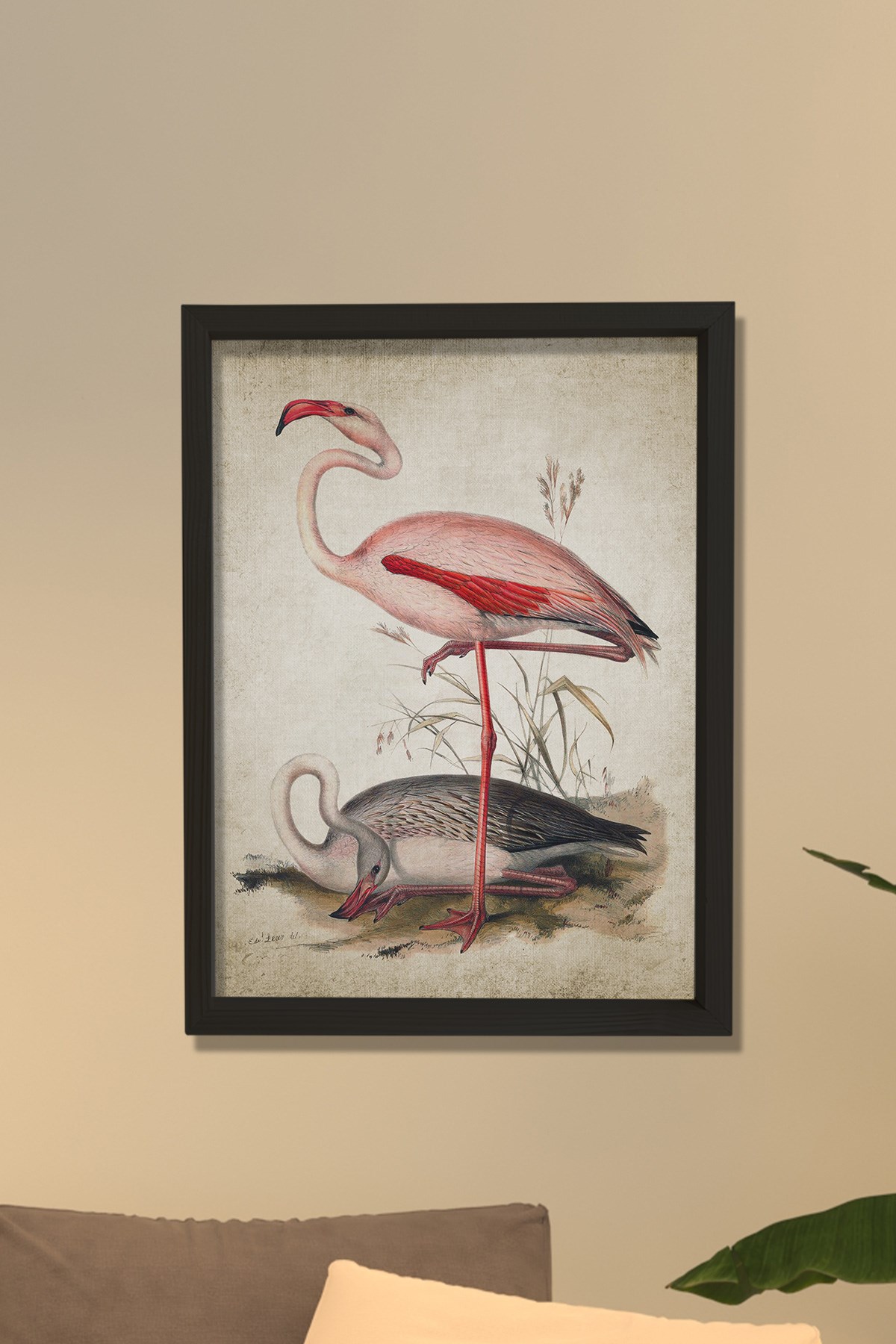 Doğal Çam Çerçeveli Duvar Tablosu Antik Flamingo