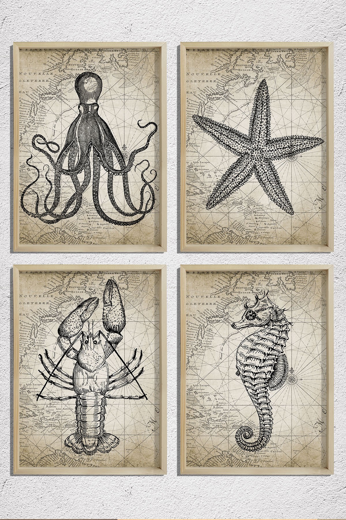 Doğal Çam Çerçeveli Duvar Tablosu Antik Deniz Canlıları Karakalem 4 lü Set