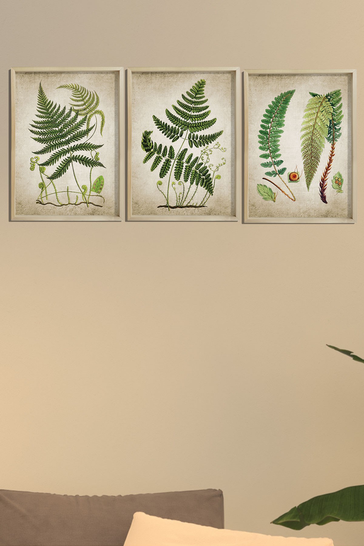 Doğal Çam Çerçeveli Duvar Tablosu Antik Fern Bitki Sanatı