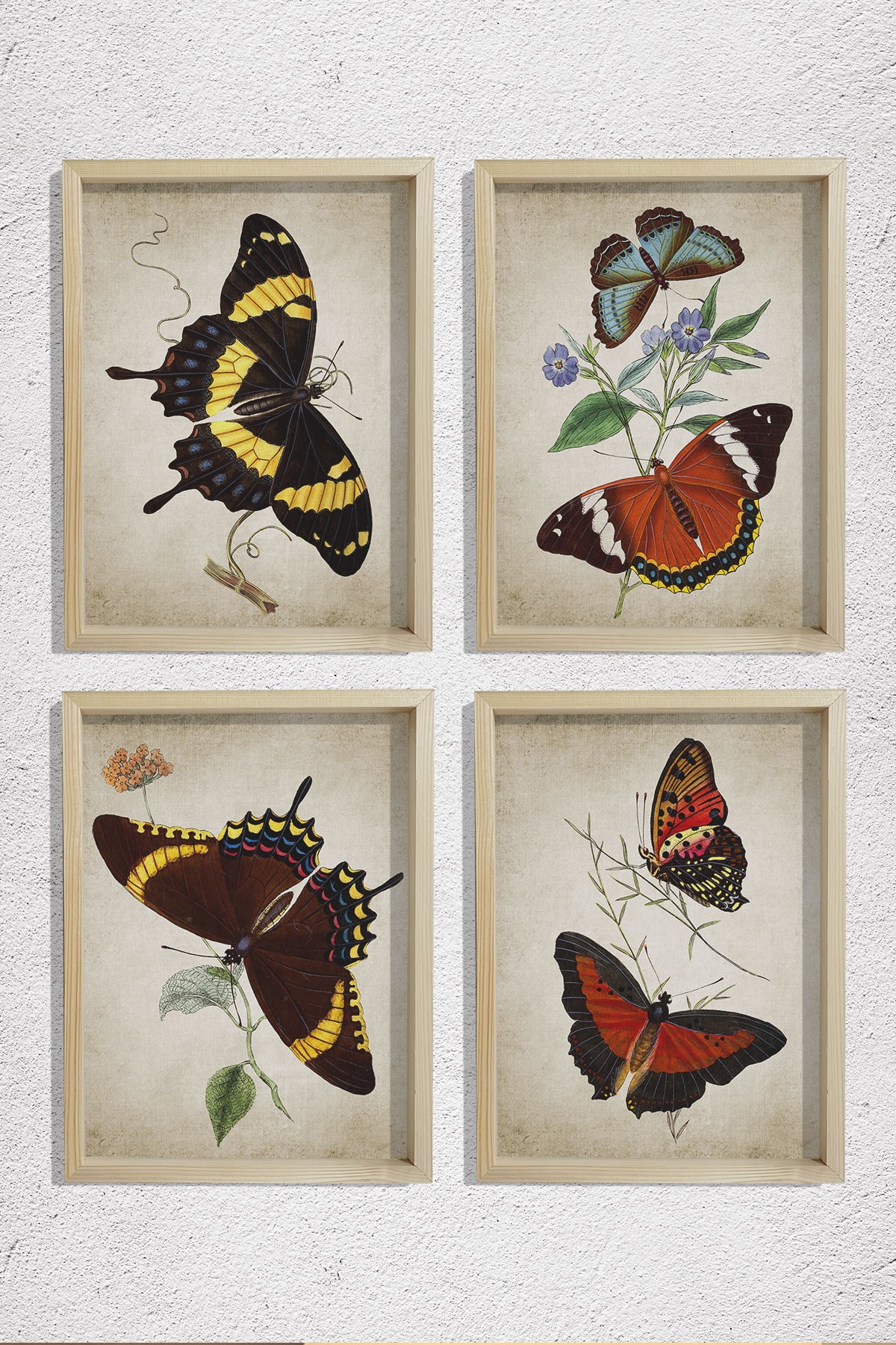 Doğal Çam Çerçeveli Duvar Tablosu Antik Kelenekler 4 lü Set