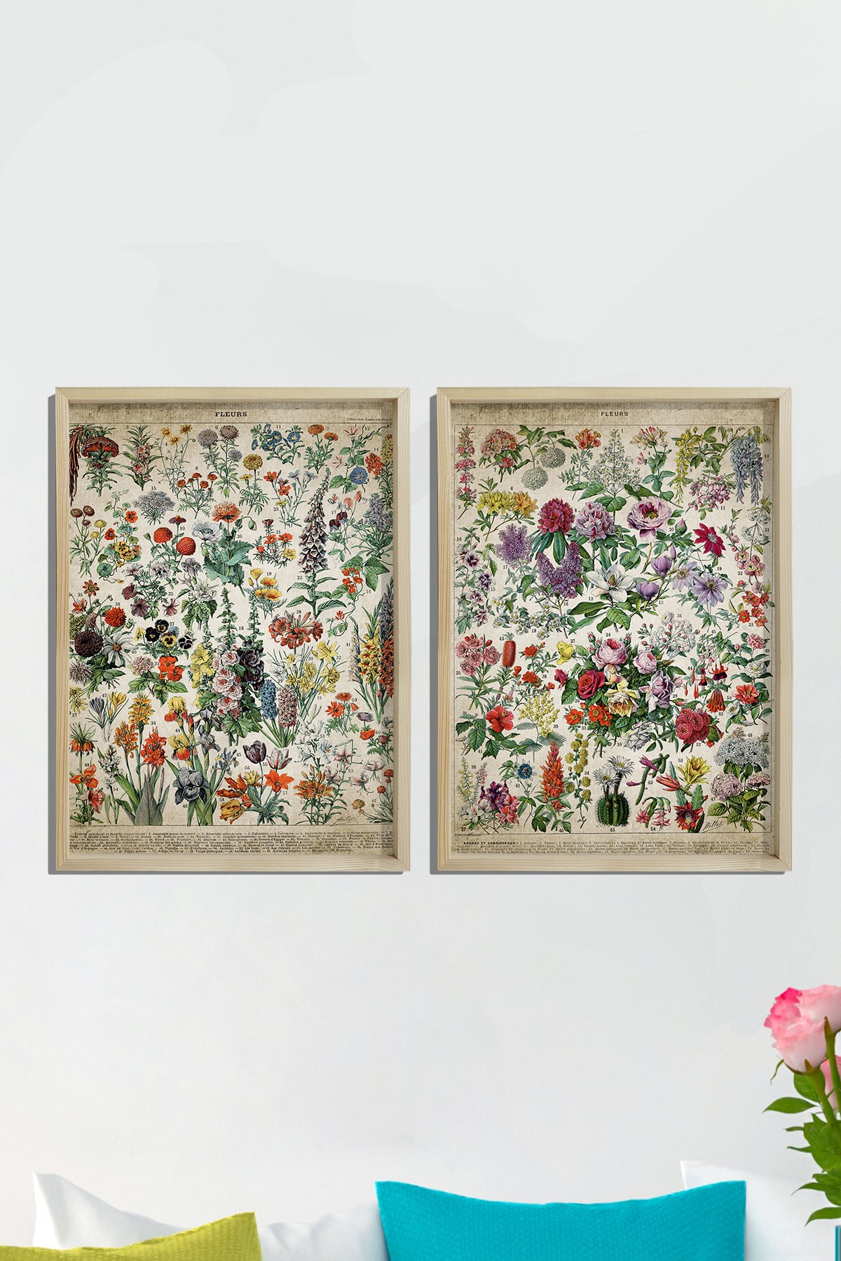 Doğal Çam Çerçeveli Duvar Tablosu Antik Çiçekler ve İsimleri