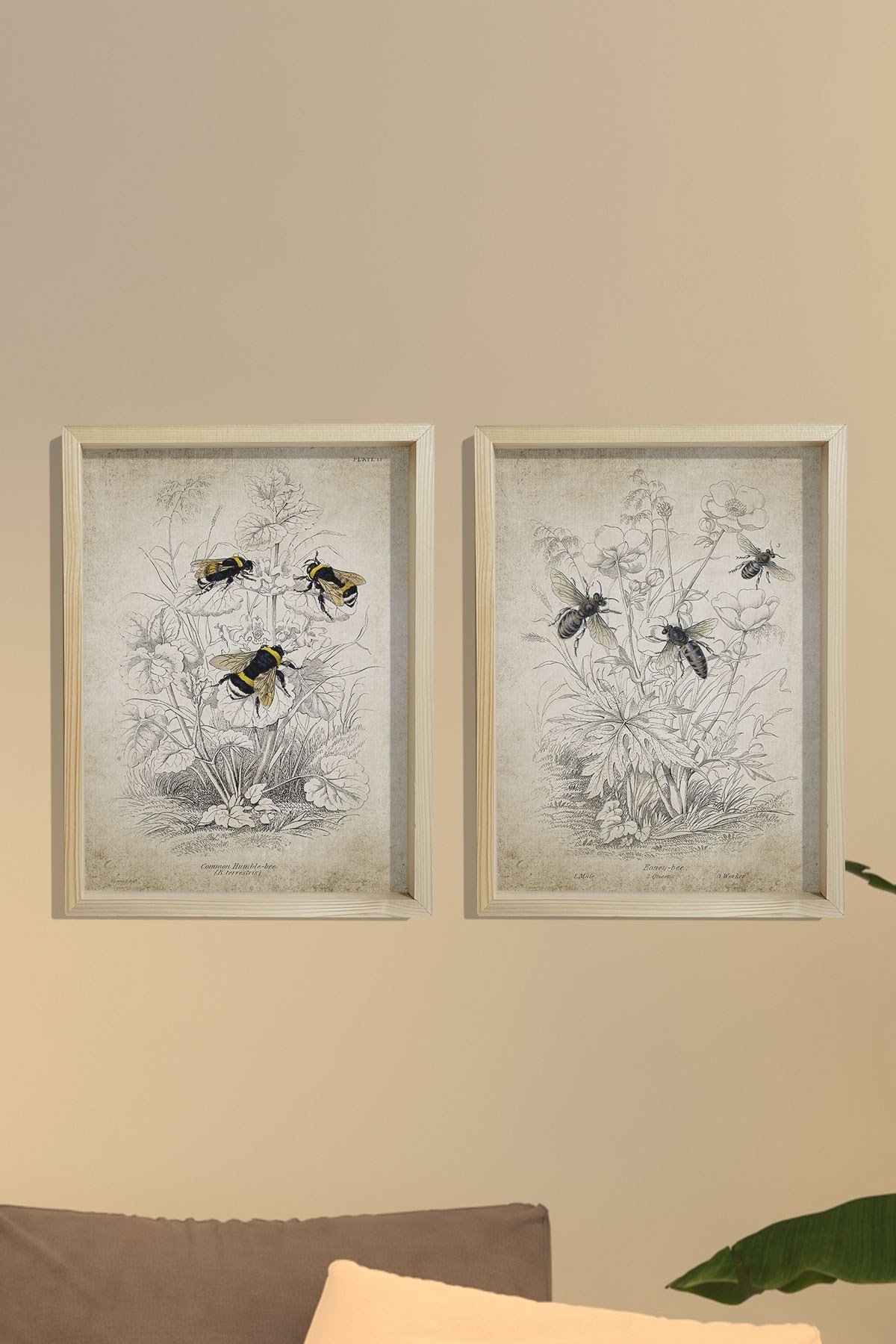 Doğal Çam Çerçeveli Duvar Tablosu Antik Bombus ve Bal Arısı