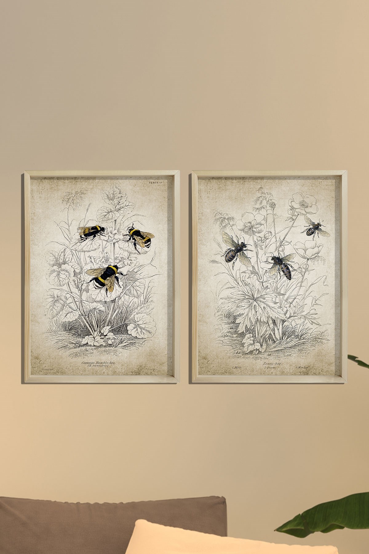 Doğal Çam Çerçeveli Duvar Tablosu Antik Bombus ve Bal Arısı