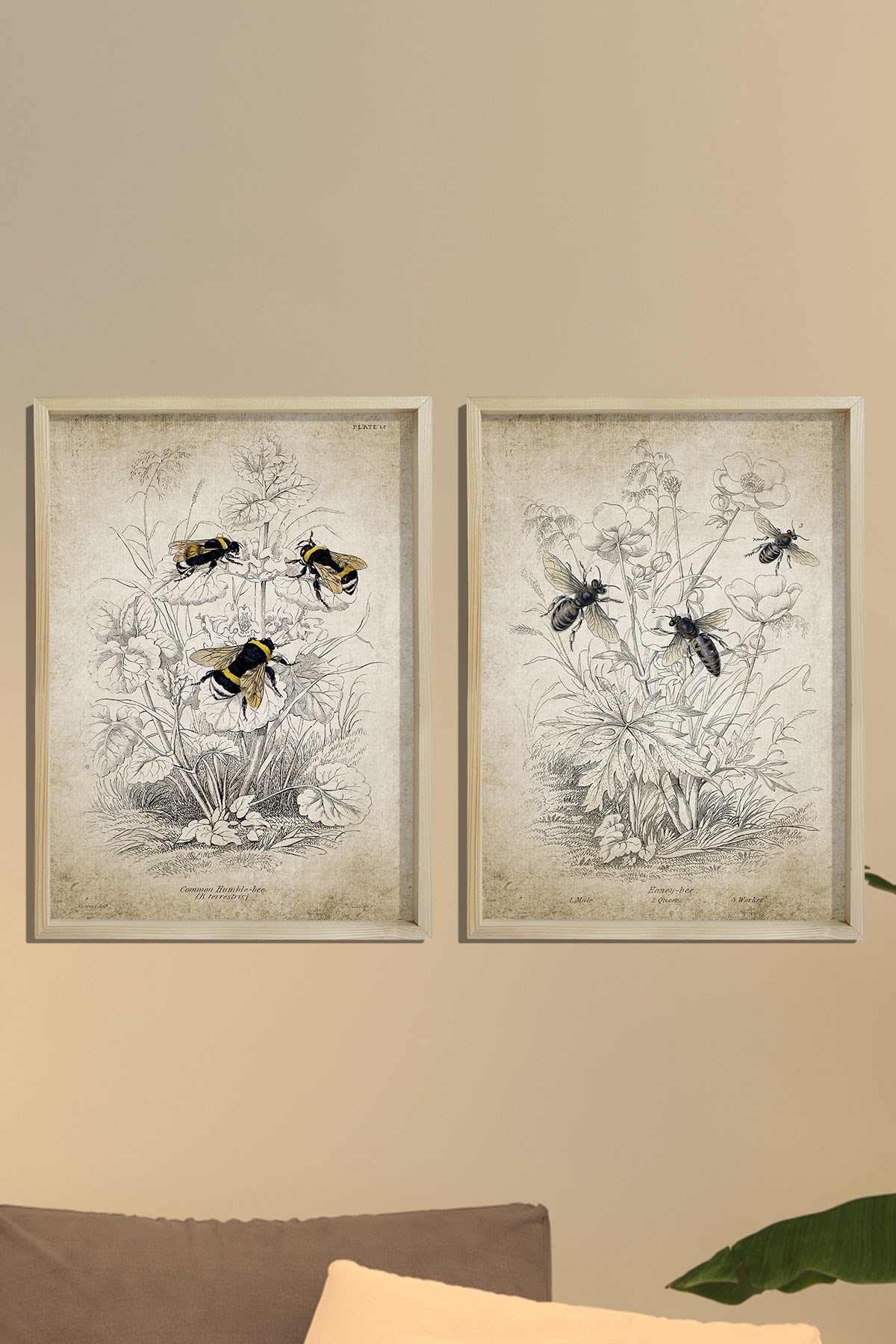 Doğal Çam Çerçeveli Duvar Tablosu Antik Bombus ve Bal Arısı