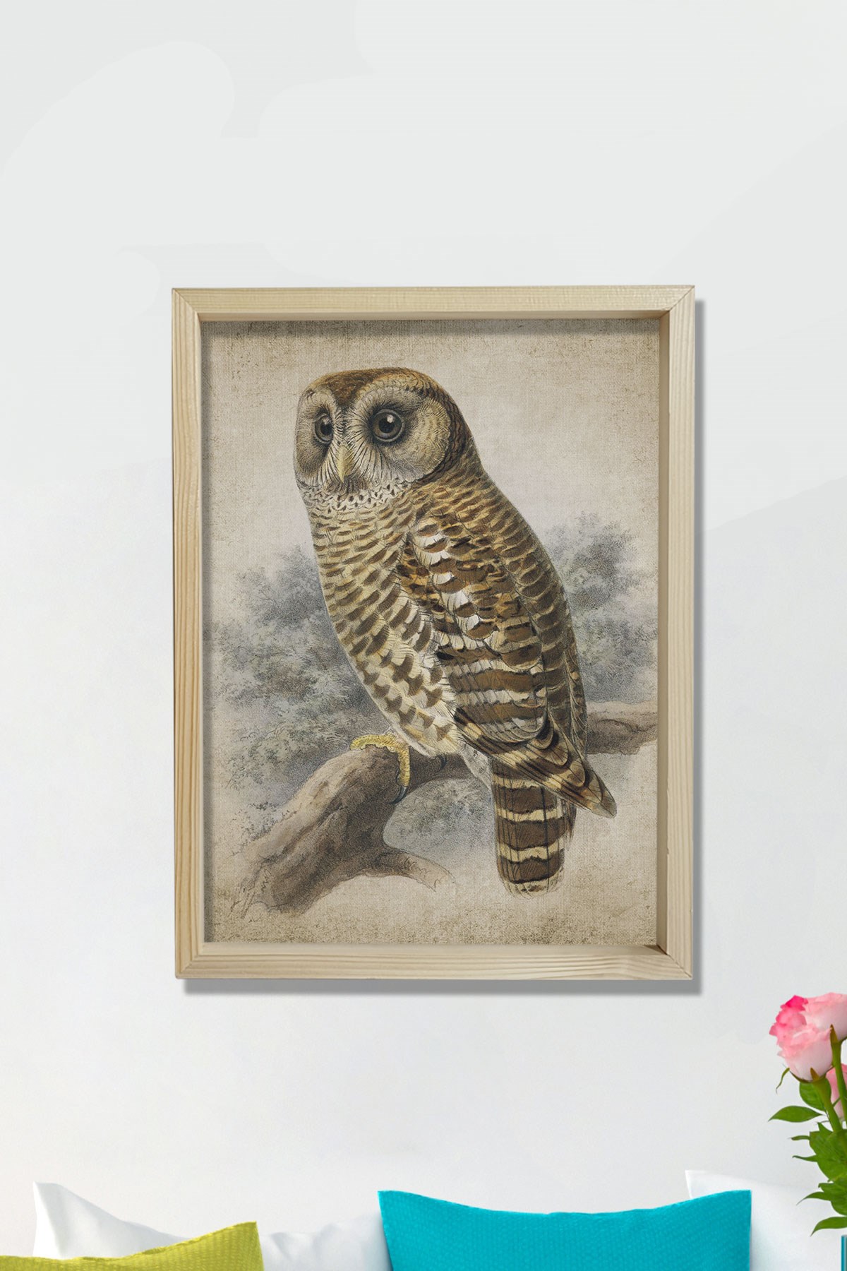 Doğal Çam Çerçeveli Duvar Tablosu Antik Baykuş