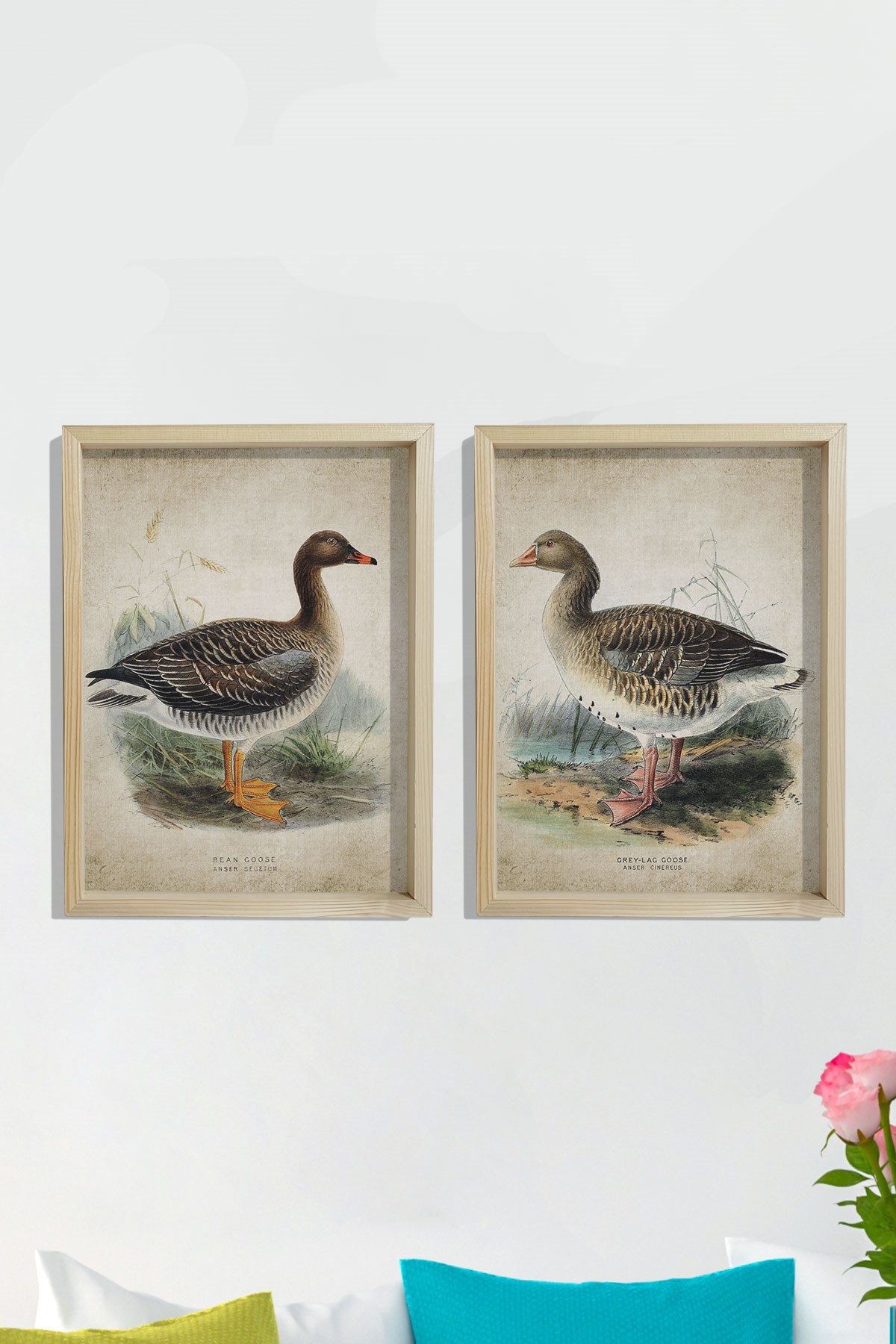 Doğal Çam Çerçeveli Duvar Tablosu Antik Kaz Baskısı