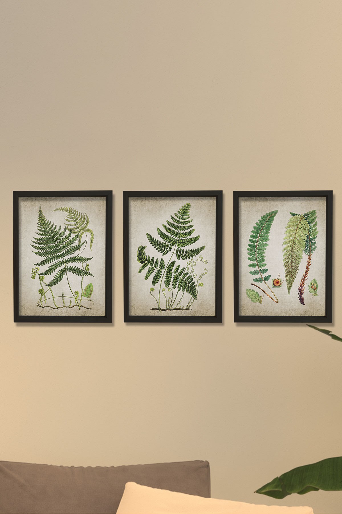 Doğal Çam Çerçeveli Duvar Tablosu Antik Fern Bitki Sanatı