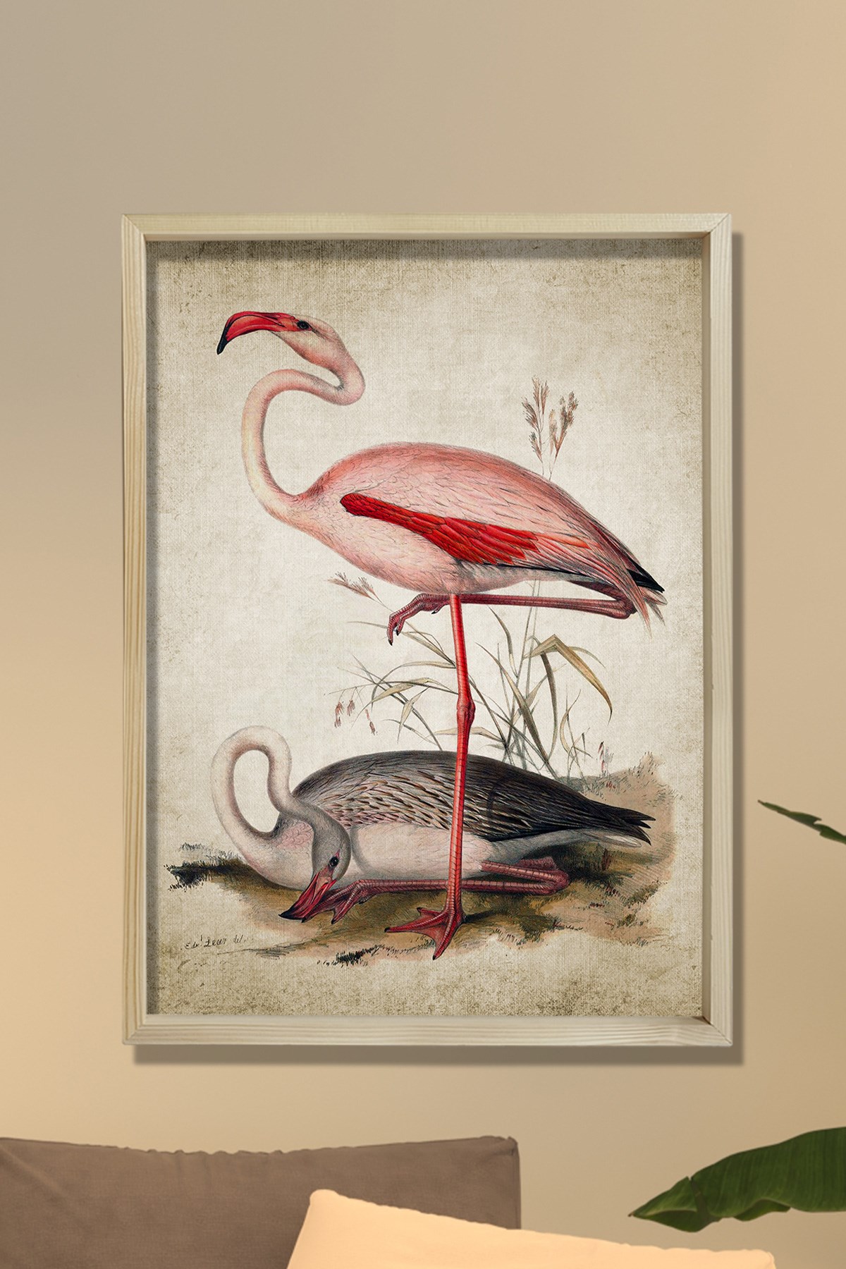 Doğal Çam Çerçeveli Duvar Tablosu Antik Flamingo