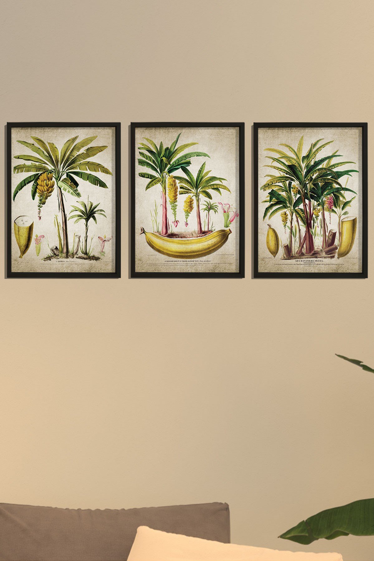 Doğal Çam Çerçeveli Duvar Tablosu Antik Muz ve Palmiye Ağacı